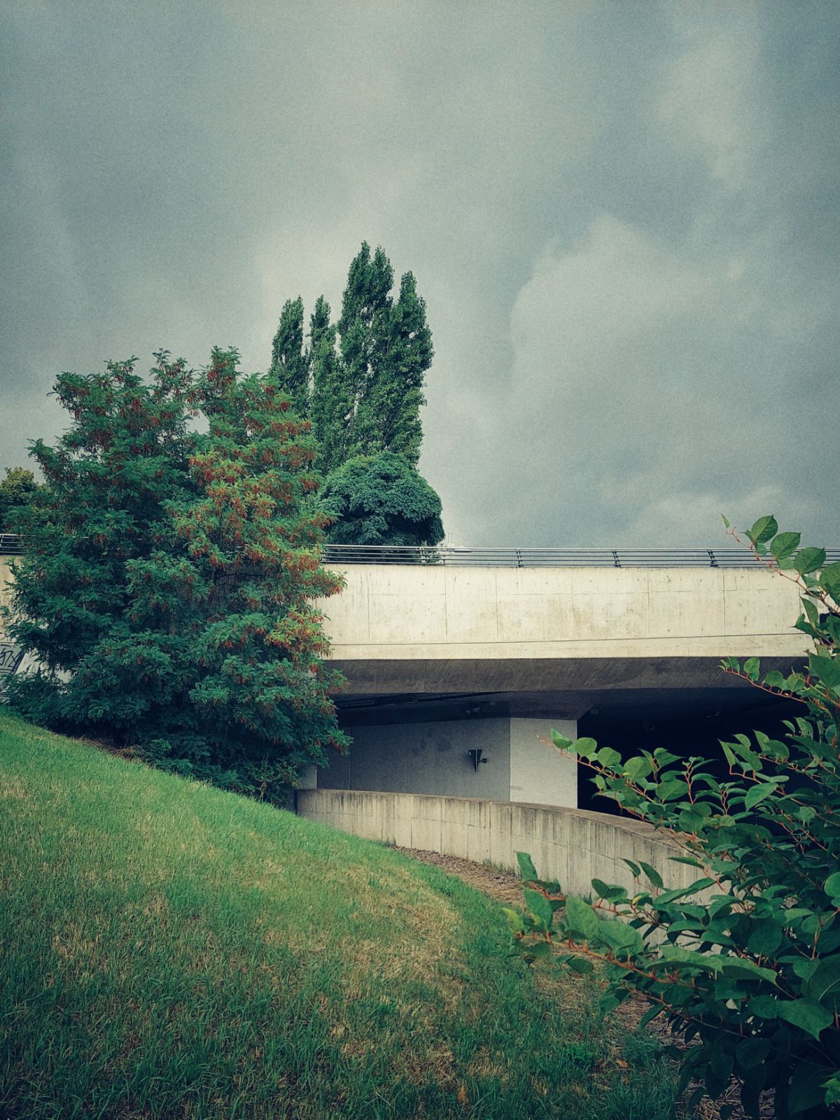 Concrete structure surrounded by meadow and trees. Dark sky above.