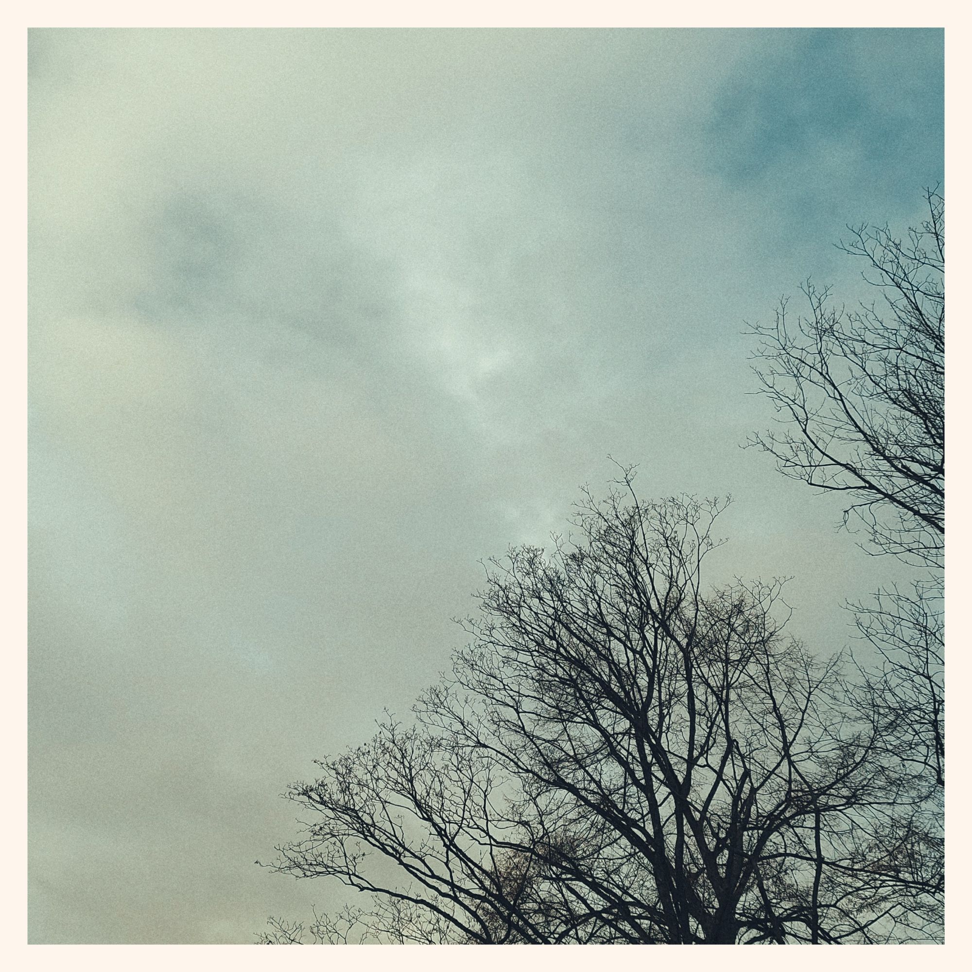 White clouds and blue sky above trees.