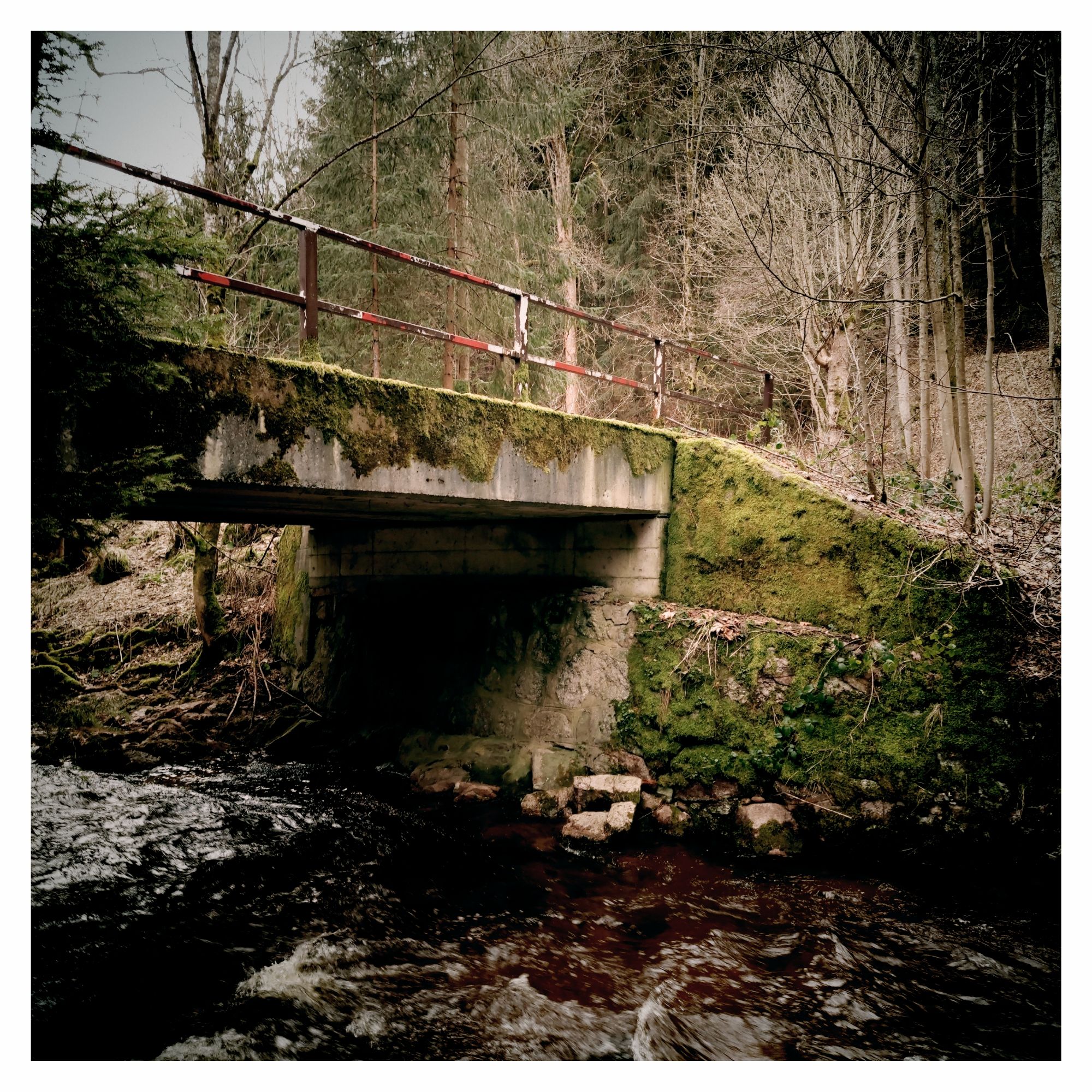 Mossy concrete bridge across a small river.