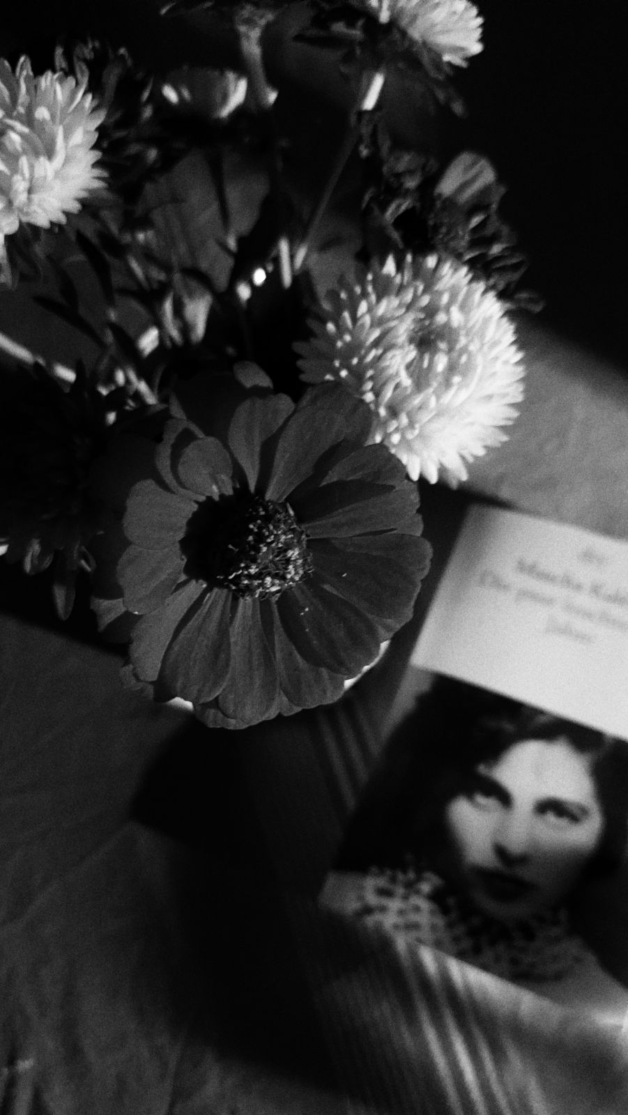 Late summer flowers and a book by Masha Kaleko on a table.