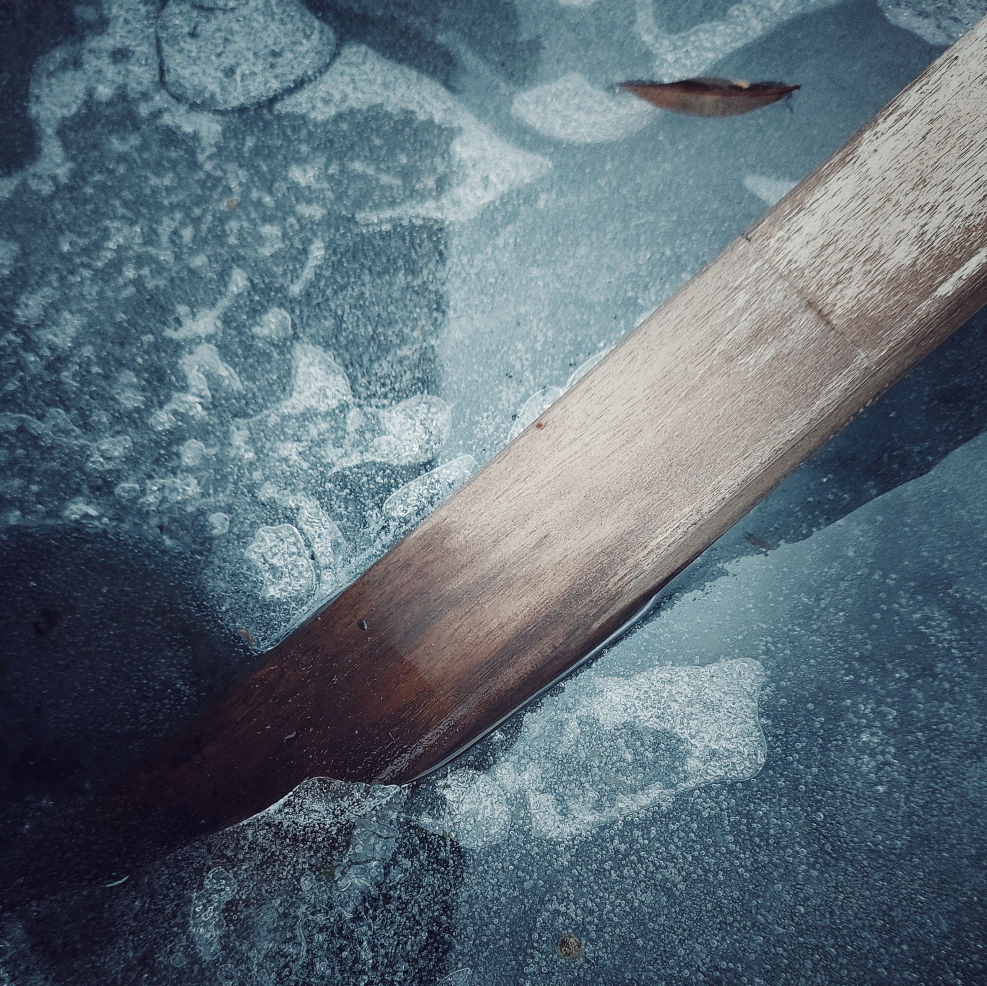 A wooden stick tightly frozen into ice.
