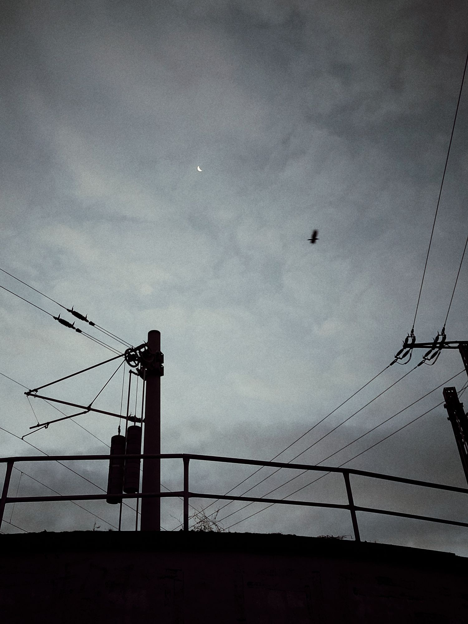 Railroad power supply, a cloudy sky above. Thin moon, and a silhouette of a bird in flight.