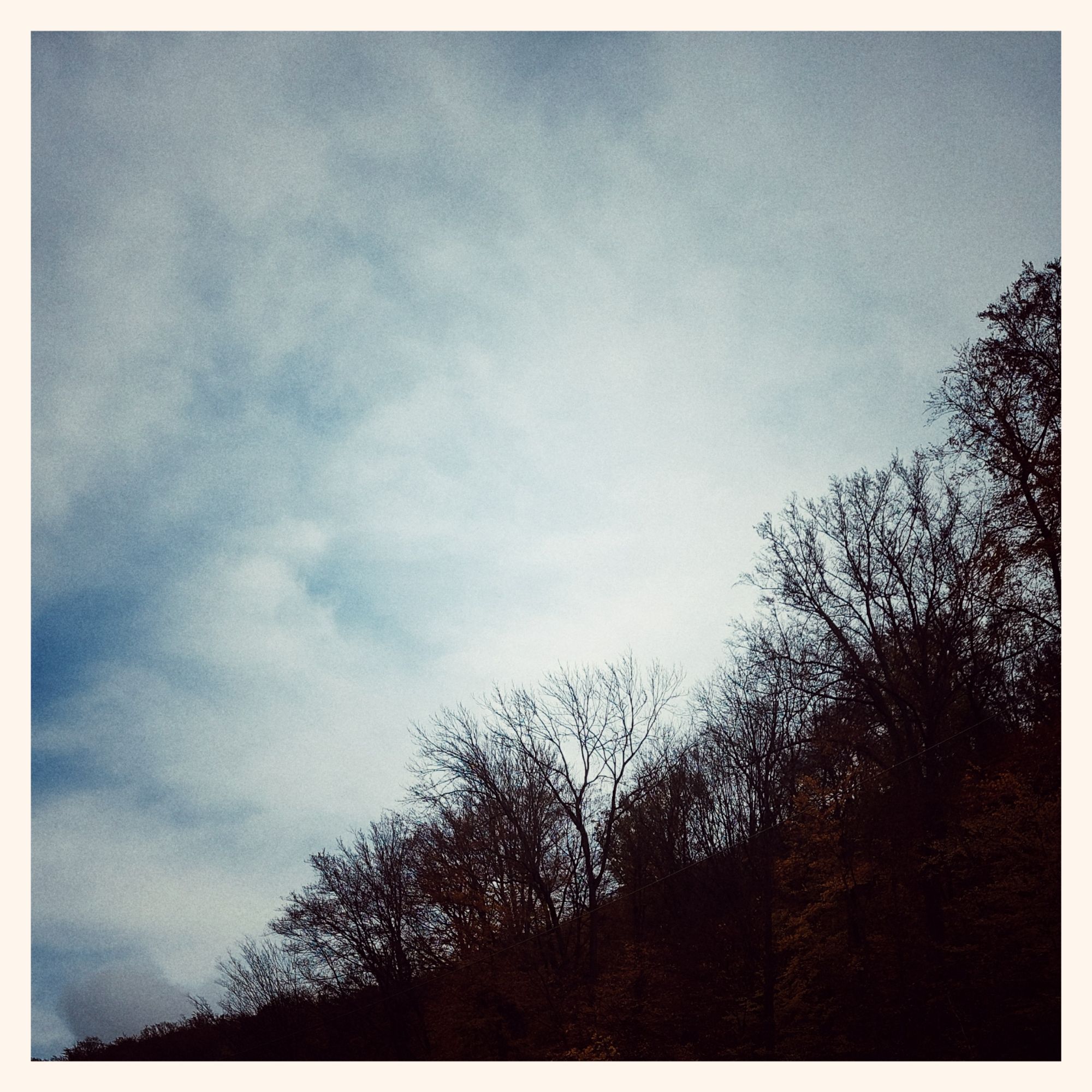 Cloudy sky with some blue above a forest line.