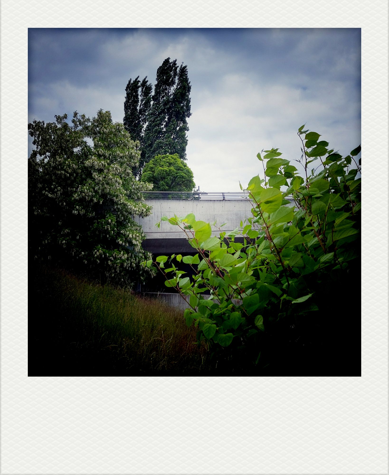 Stürmisches Wetter im Grün, zerrissene Wolken, Beton im Hintergrund.