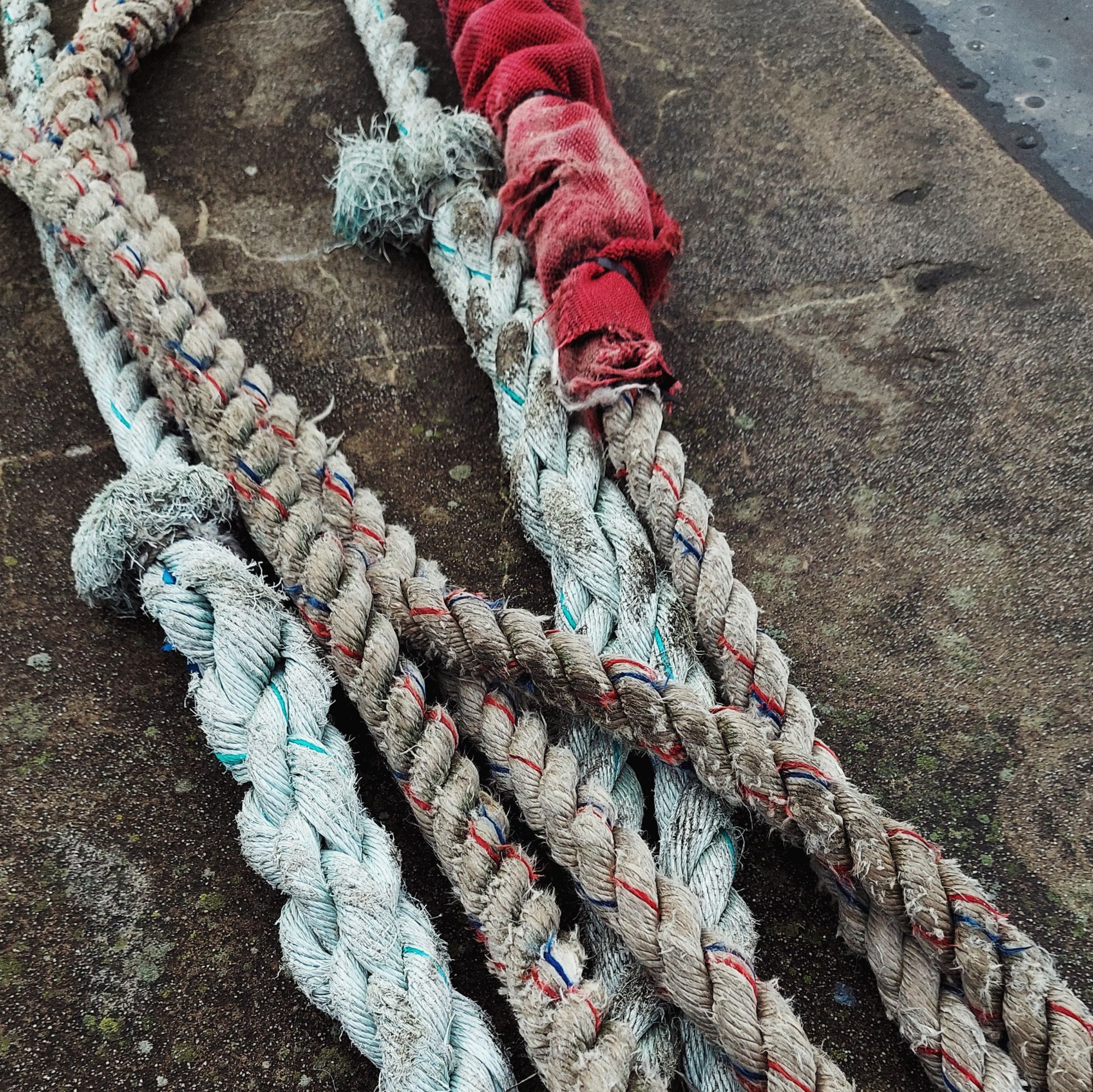 Different ropes laying on concrete floor.