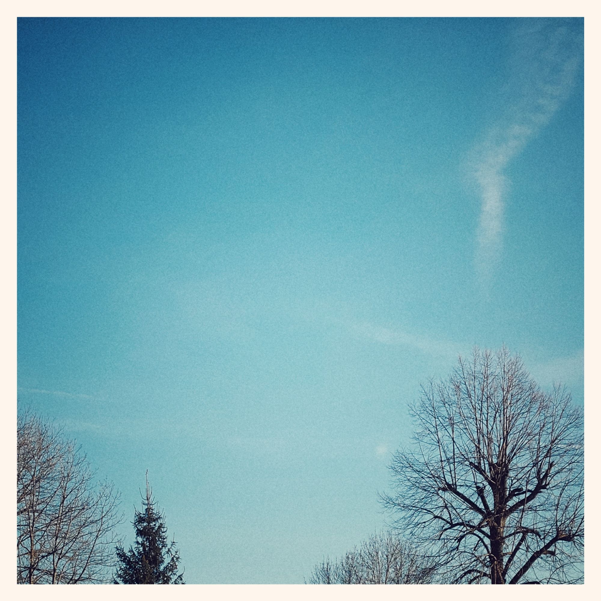 Quiet blue sky, a few thin white clouds. Trees below.