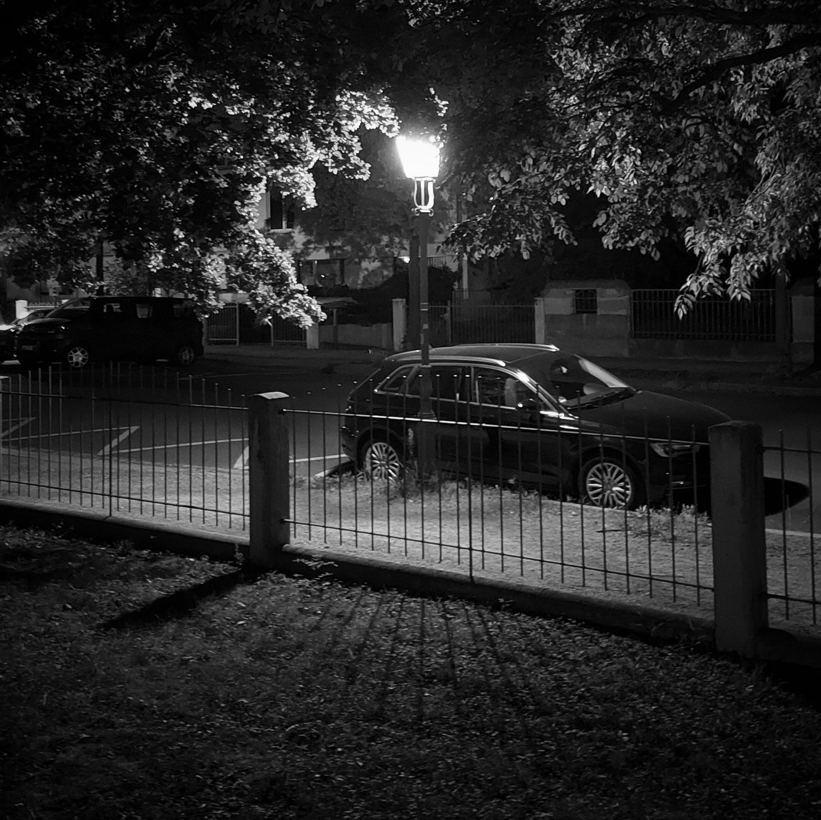 Streetlights under trees. A lonely car, a rusty fence and its shadow. Monochrome.