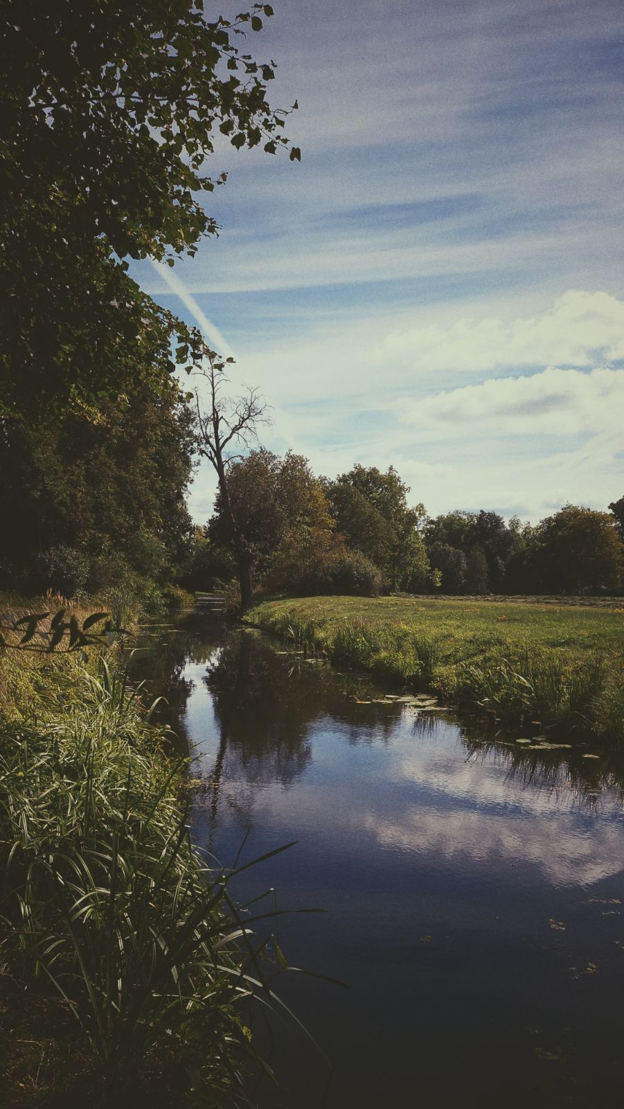A narrow river between a meadow and trees. A blue sky with some white clouds above.