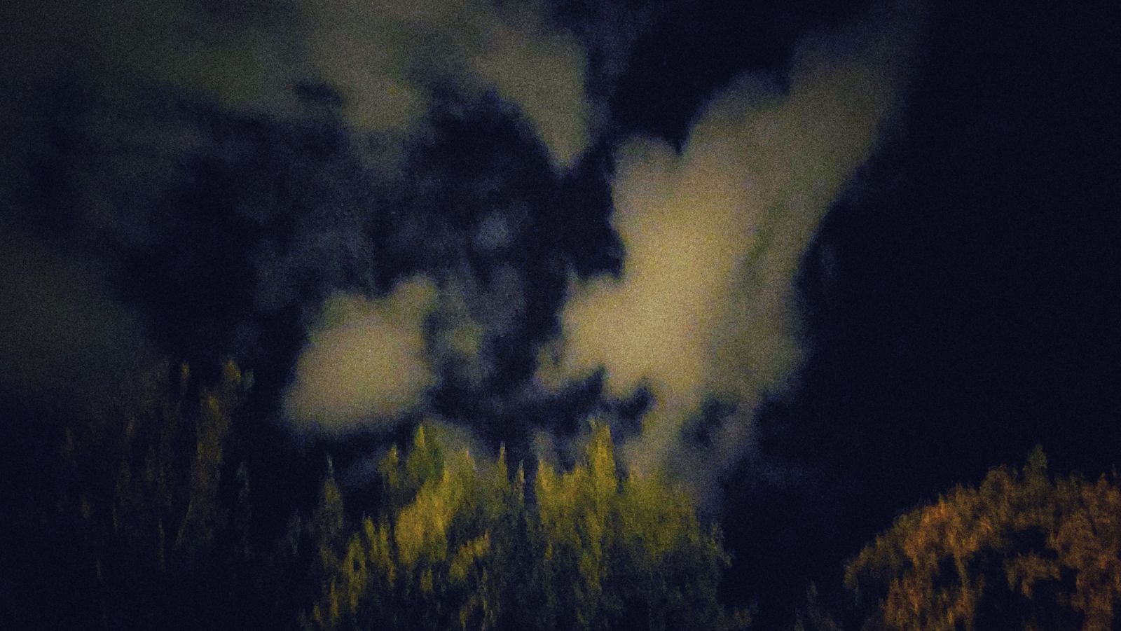Overexposed night shot. Dark sky, clouds, and a blurred bunch of trees.