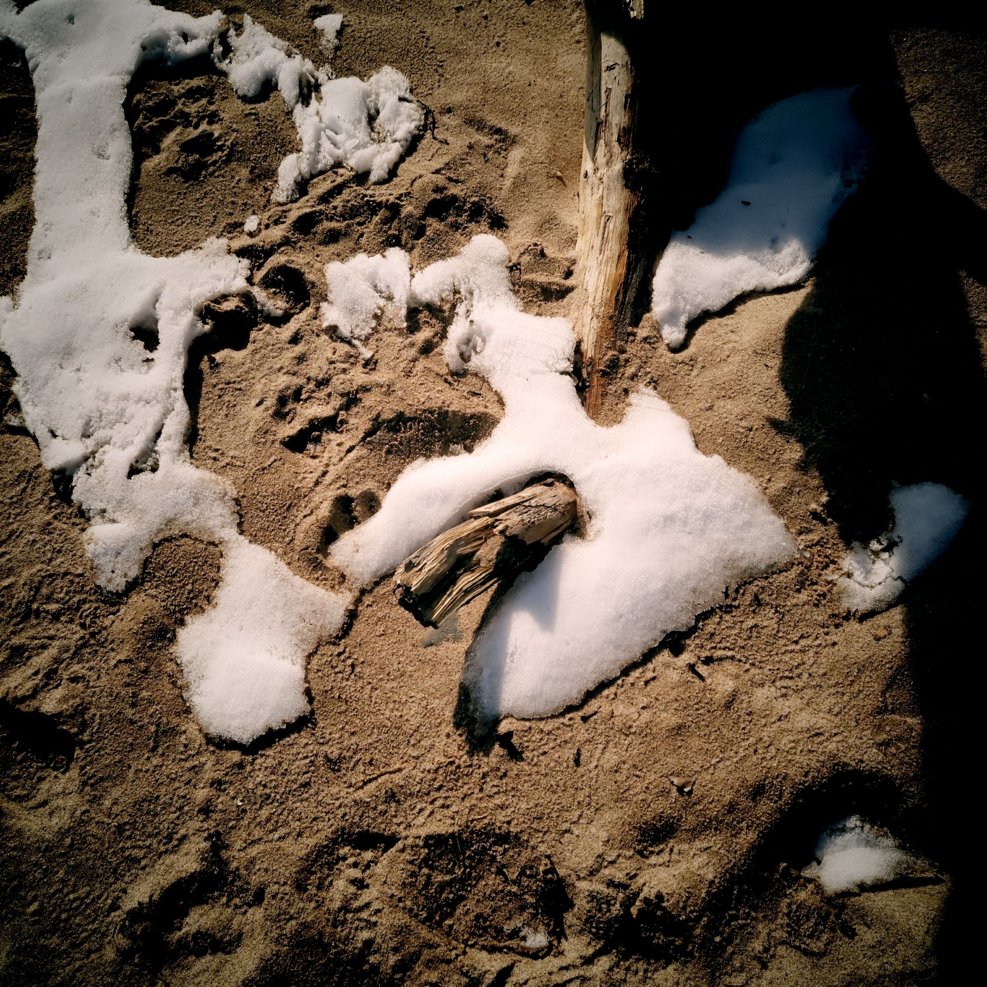 Schnee im Sand, dazwischen altes glattes Holz.