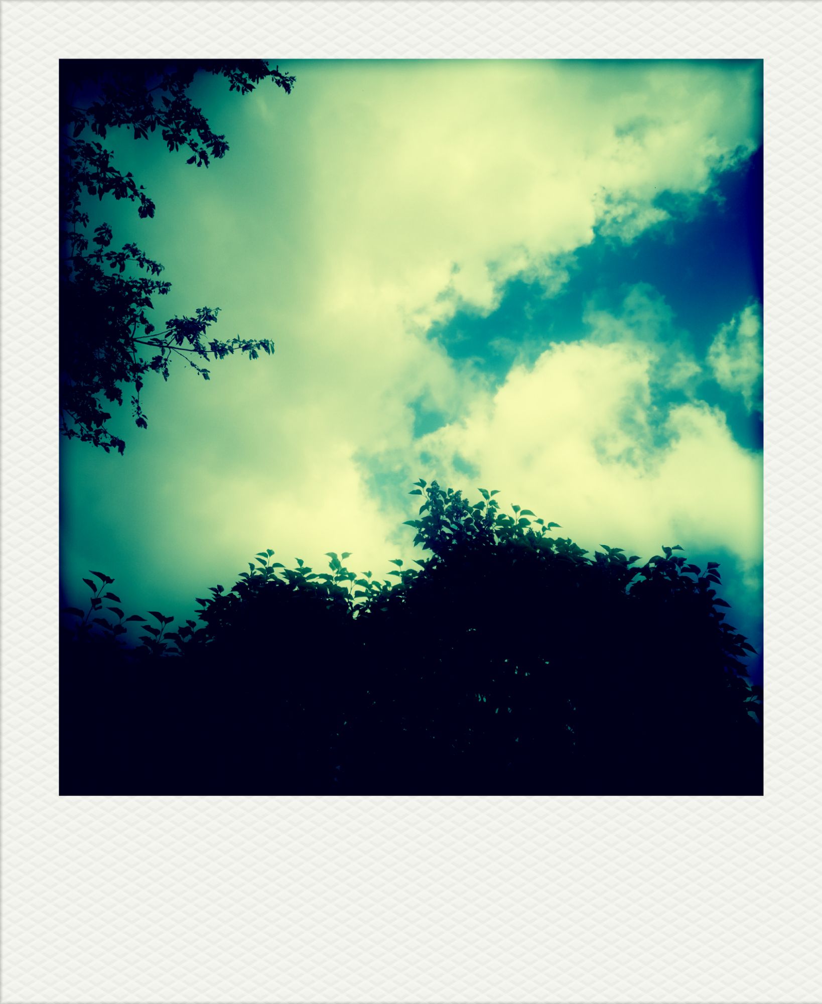 Clouds and trees.