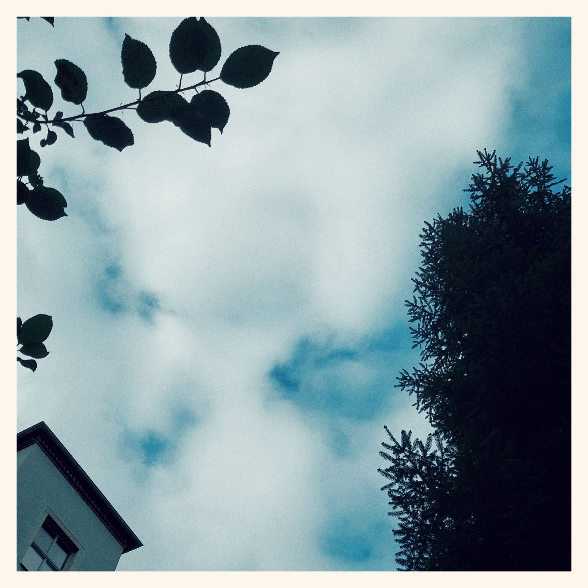 Blue sky peeking through white clouds. Trees and a corner of a house.