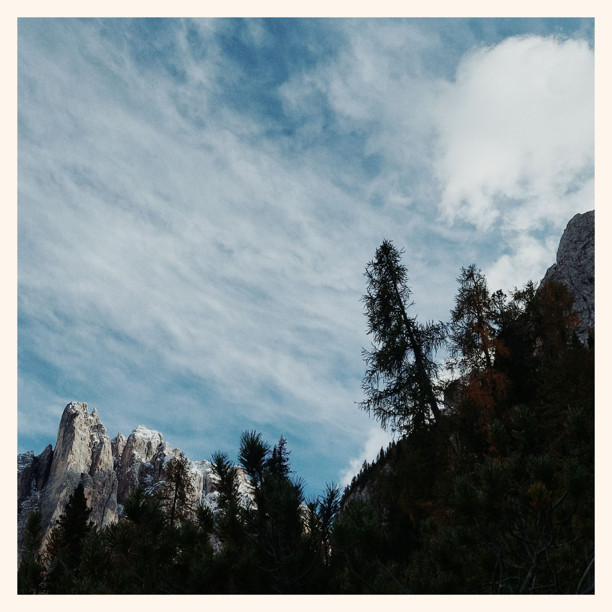 Thin clouds above mountains. Some trees in the foreground. 