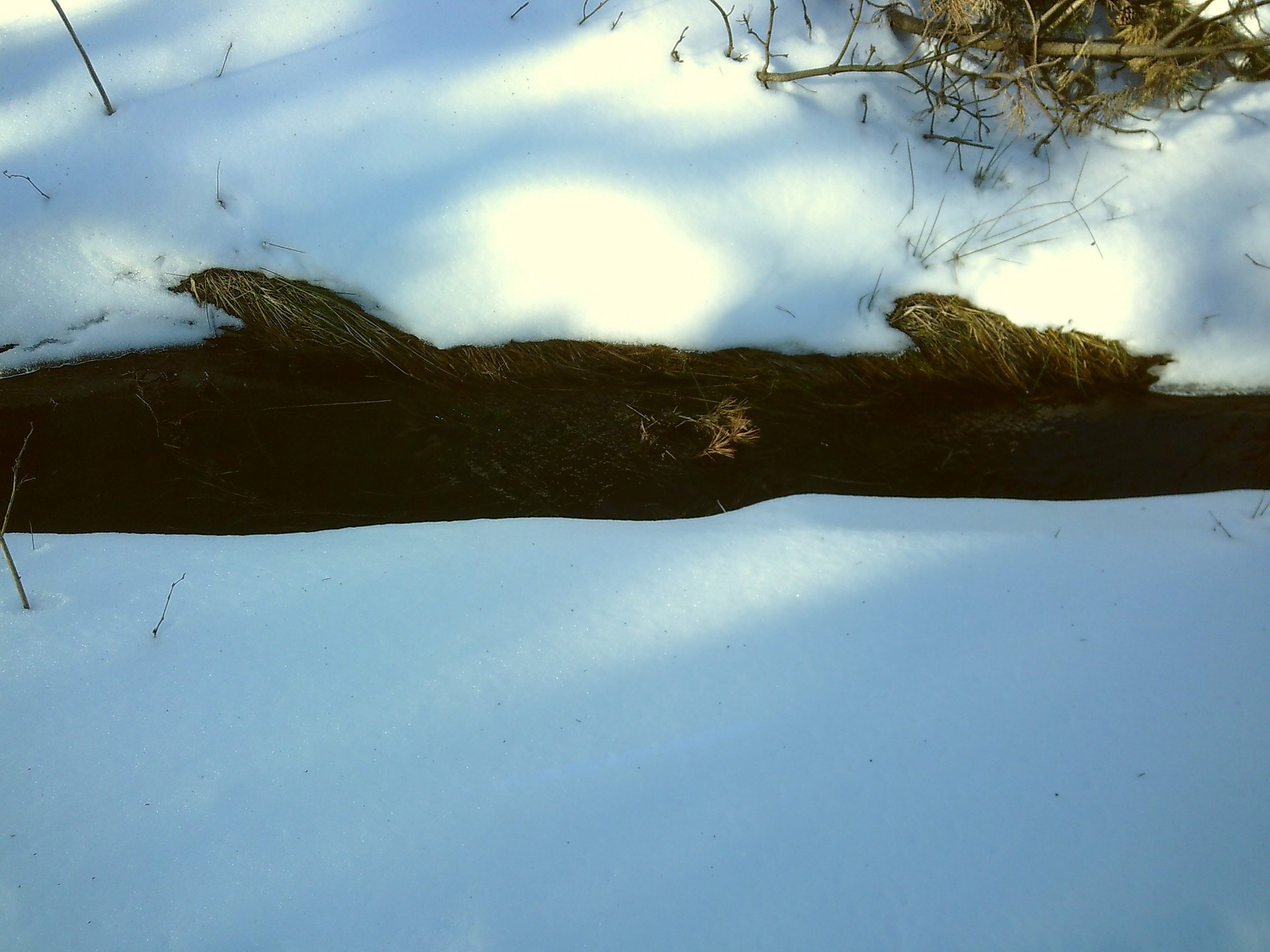 A small calm creek making its way through a snowy meadow.