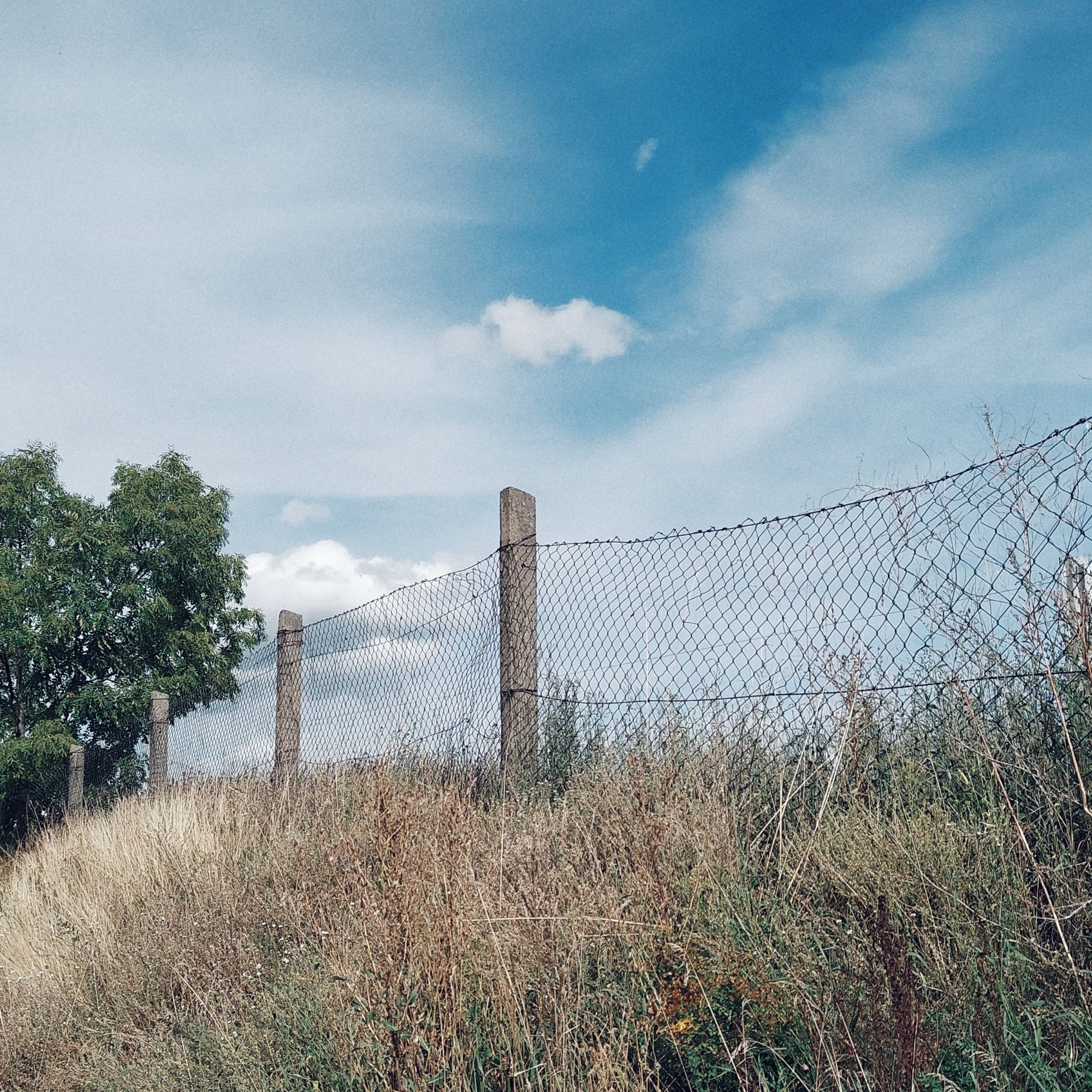 An old rusty fence, dry plants, and a light blue sky with thin clouds behind.