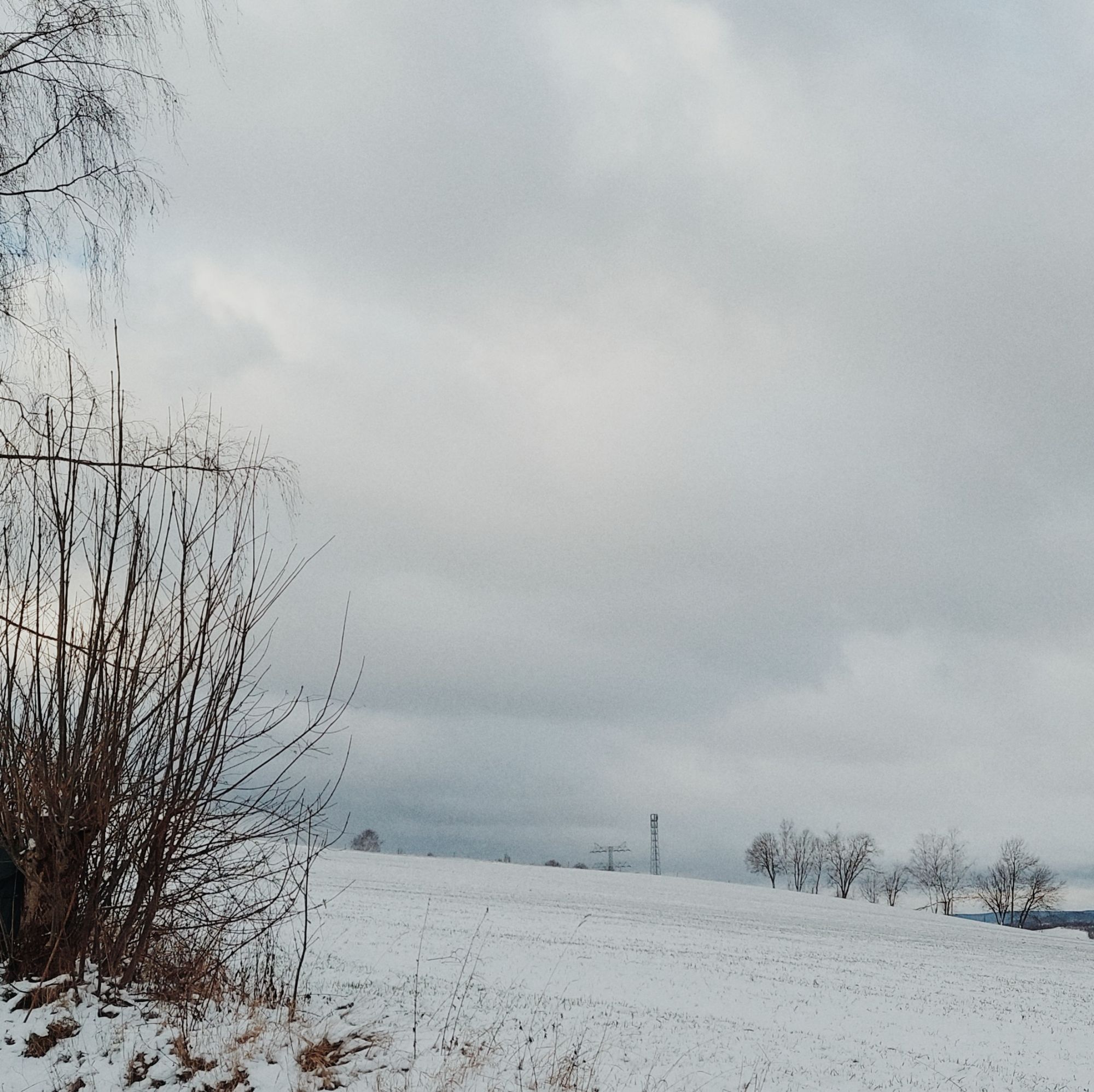 Wintry countryside. Trees, snow-covered hills. Dense clouds.