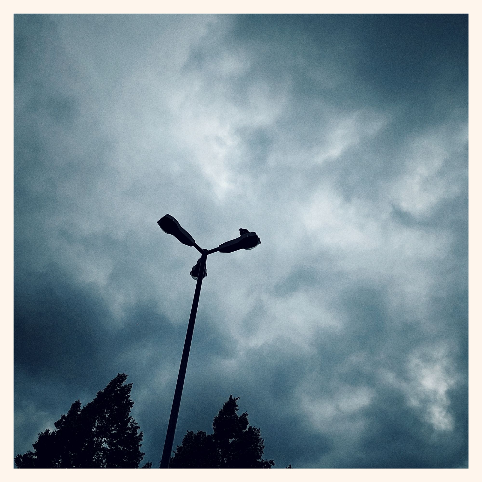 Wild evening sky. Some trees, a streetlight with three heads. And a dove on top.