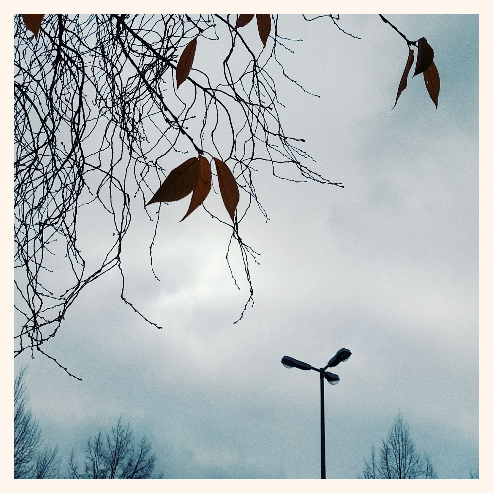 Autumn sky behind branches of a tree. Some orange leaves are left. A three-headed lantern in the middle.