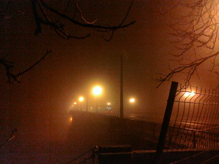 View through a foggy night, lights on a bridge, an old metal fence, some dry trees.