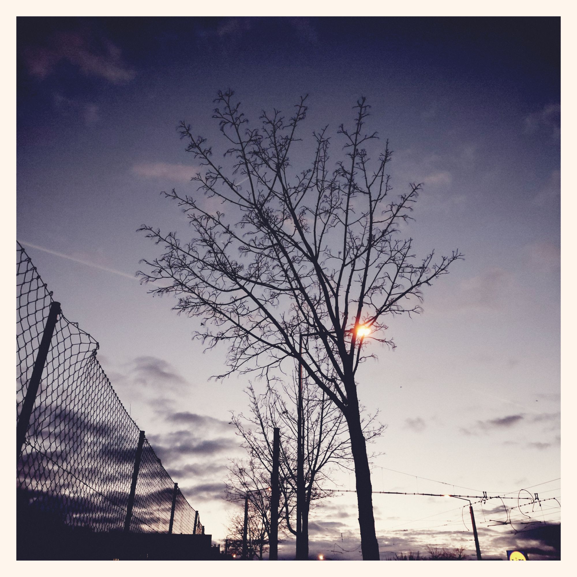 Wire fence, street trees, electric infrastructure and a lantern under an evening sky.