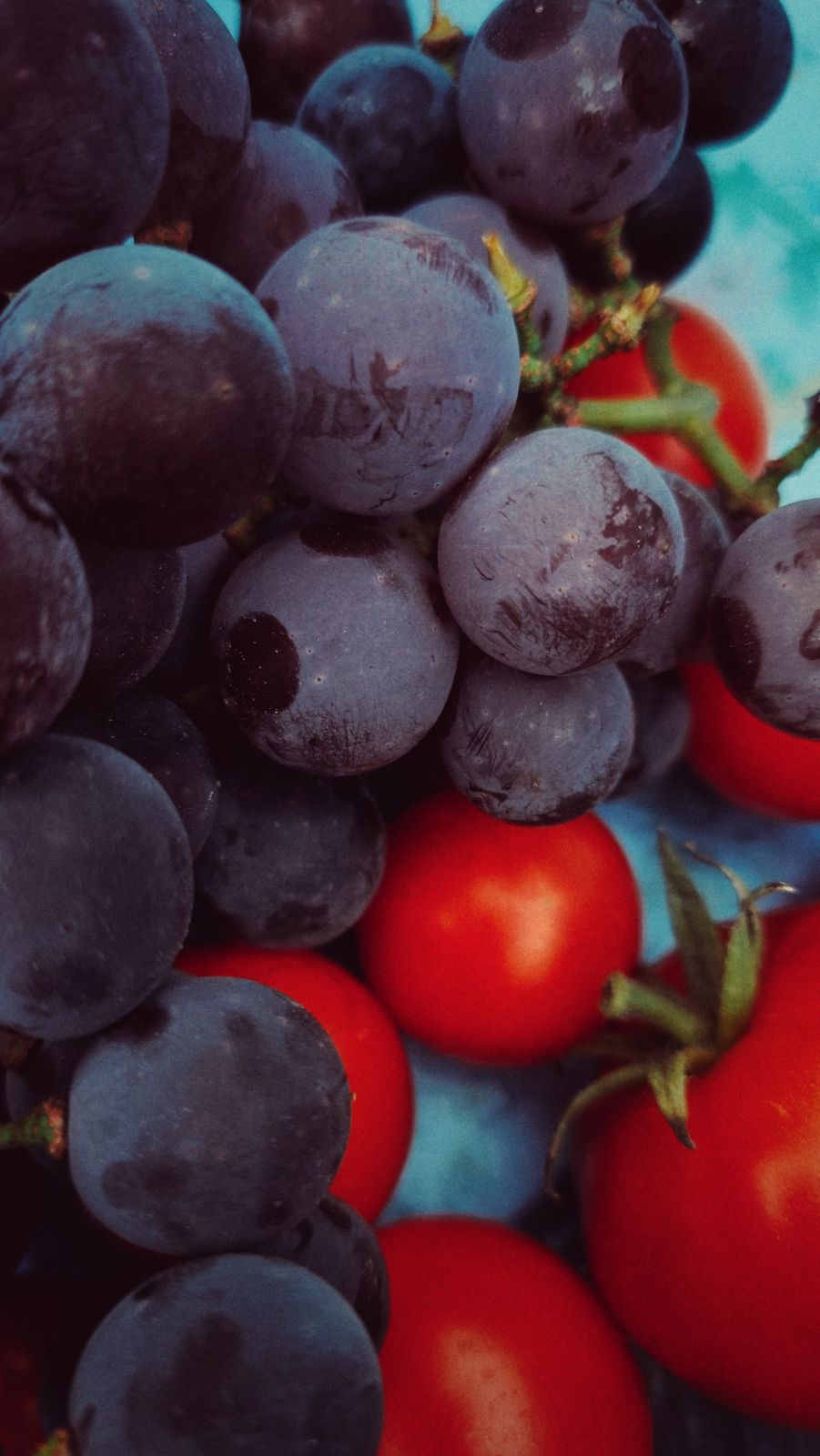 Tomatoes and blue grapes, close-up.