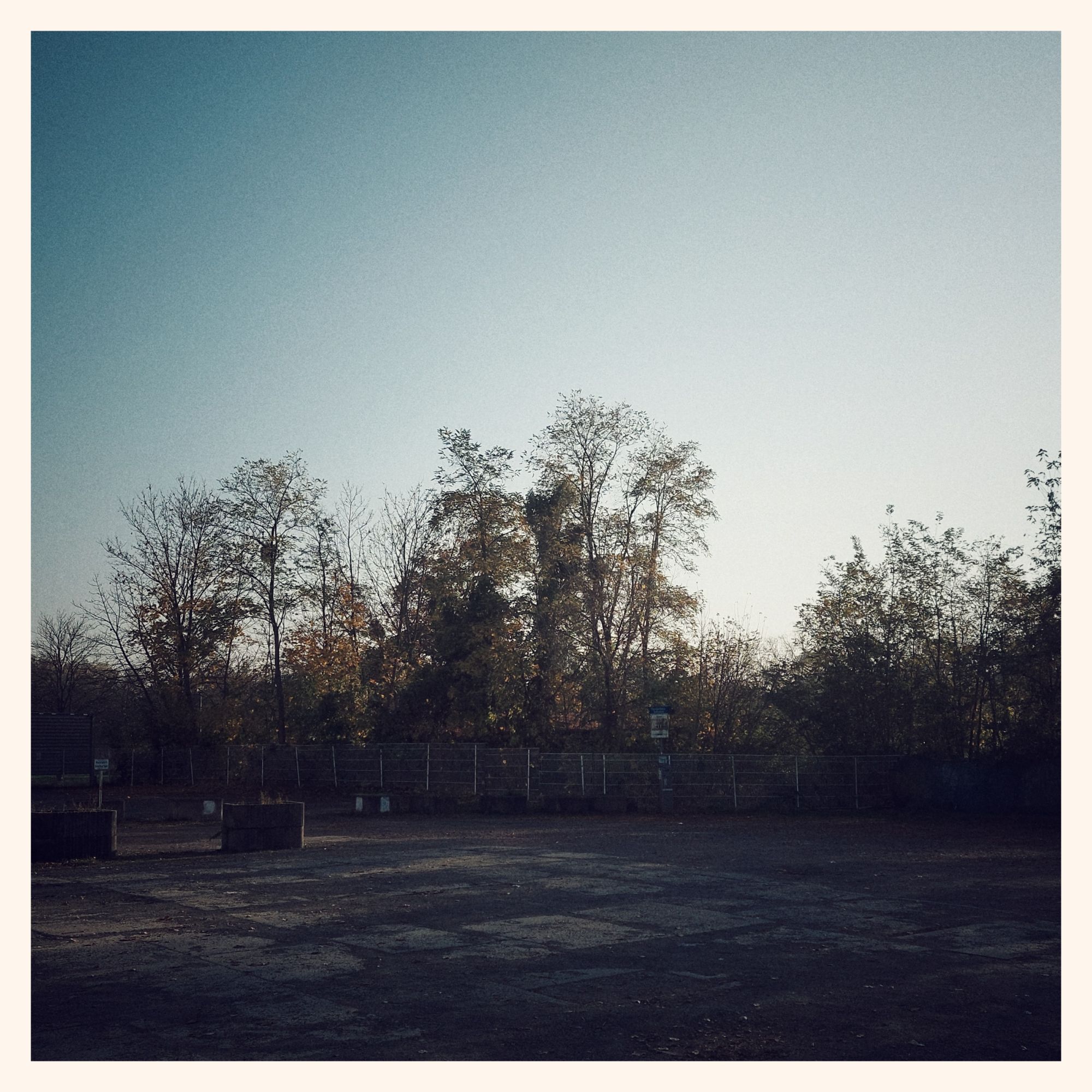 Sky hazy with frost, above a concrete parking lot.