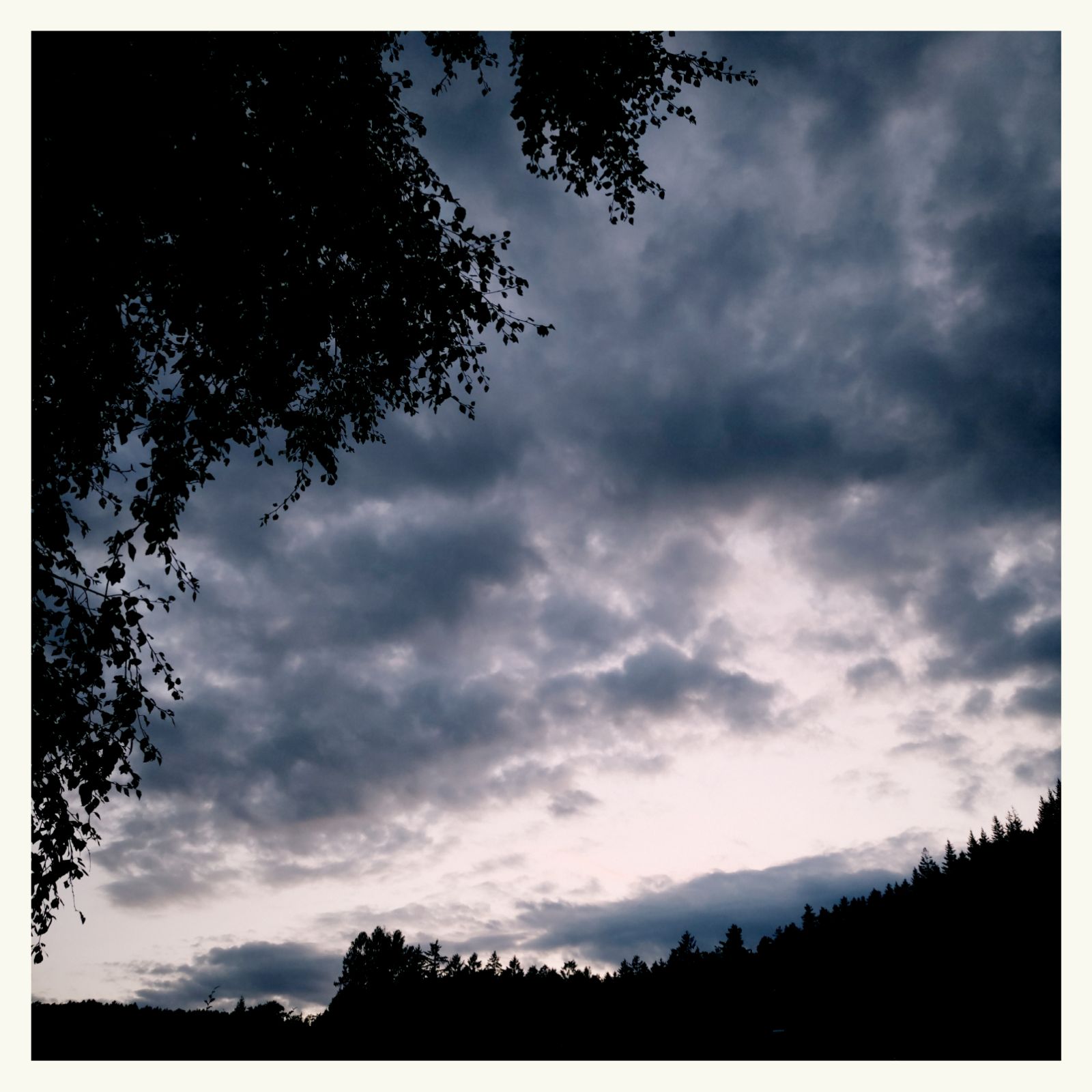Dusk over Hochwald. Strong contrasts, black trees, white skies.