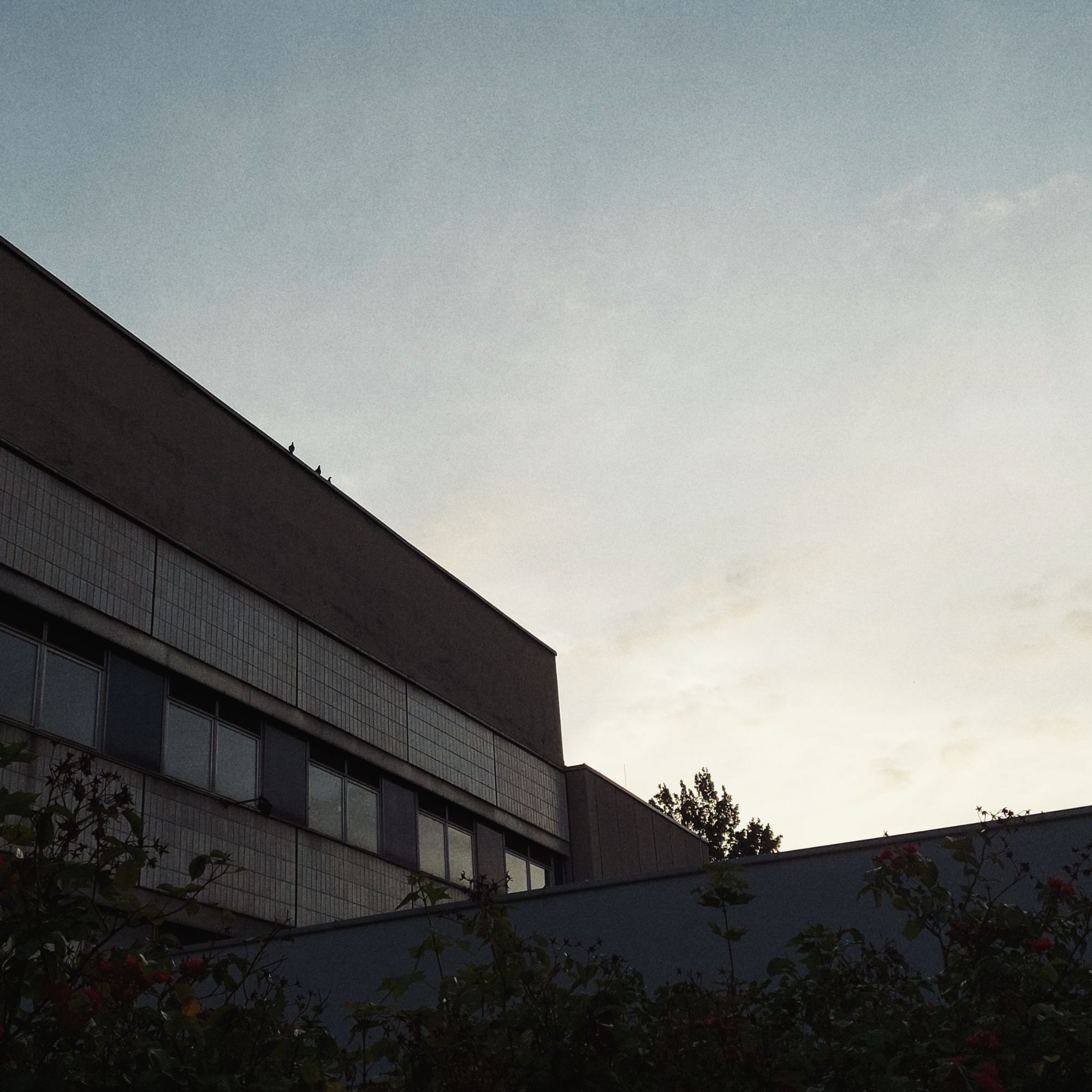 Sunrise: Soft blue sky and early light over an East Modern office building.