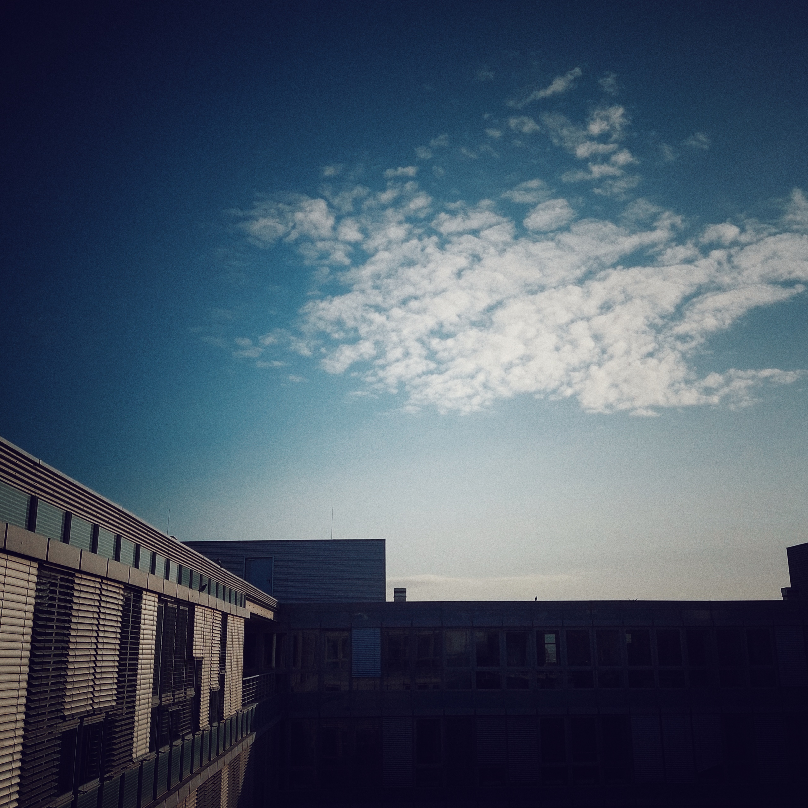 Part of an office building, blueish morning sky and some clouds above.