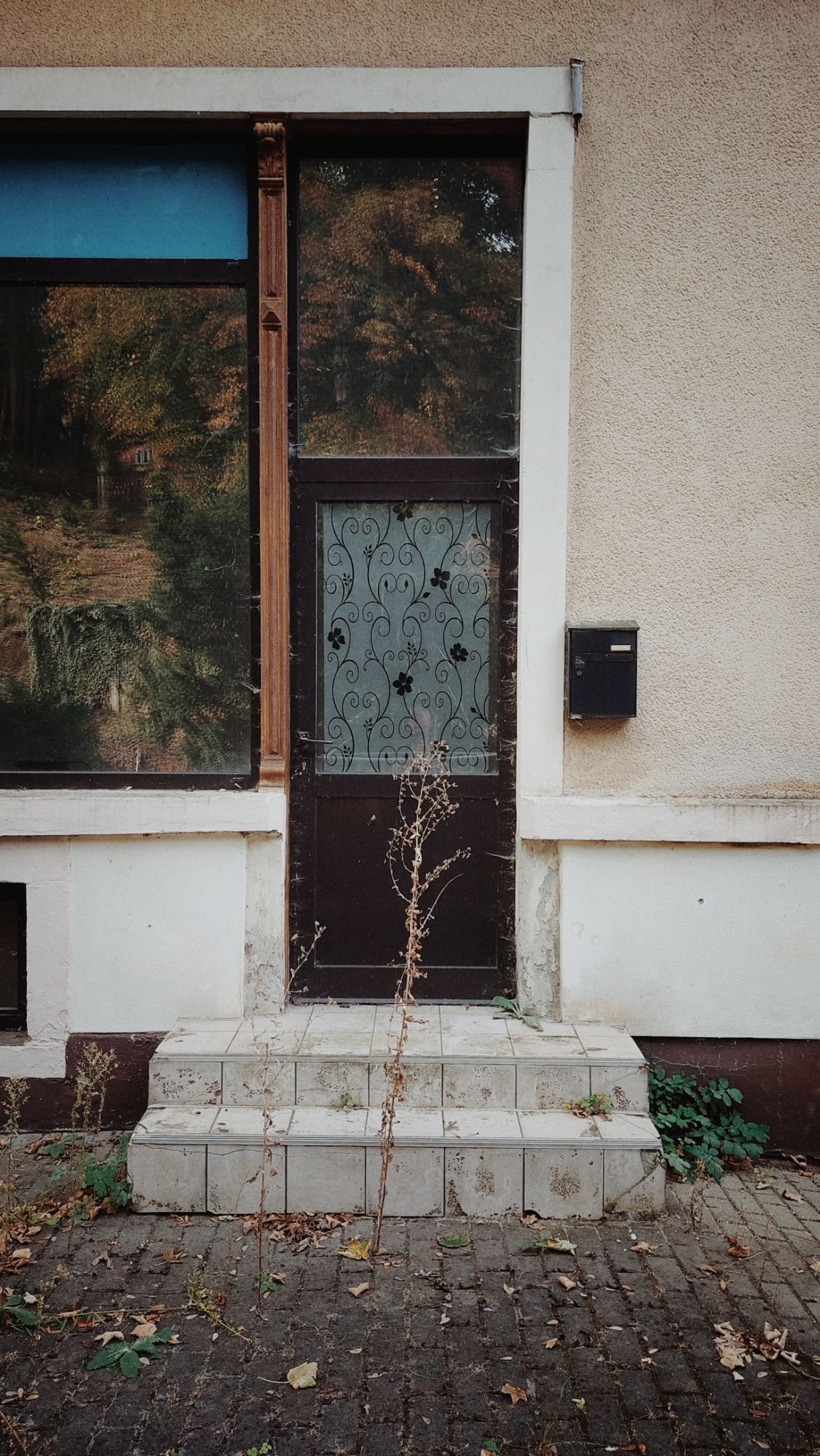 Front of an abandoned house, door and window and a single plant in front of the stairs leading up to the door.