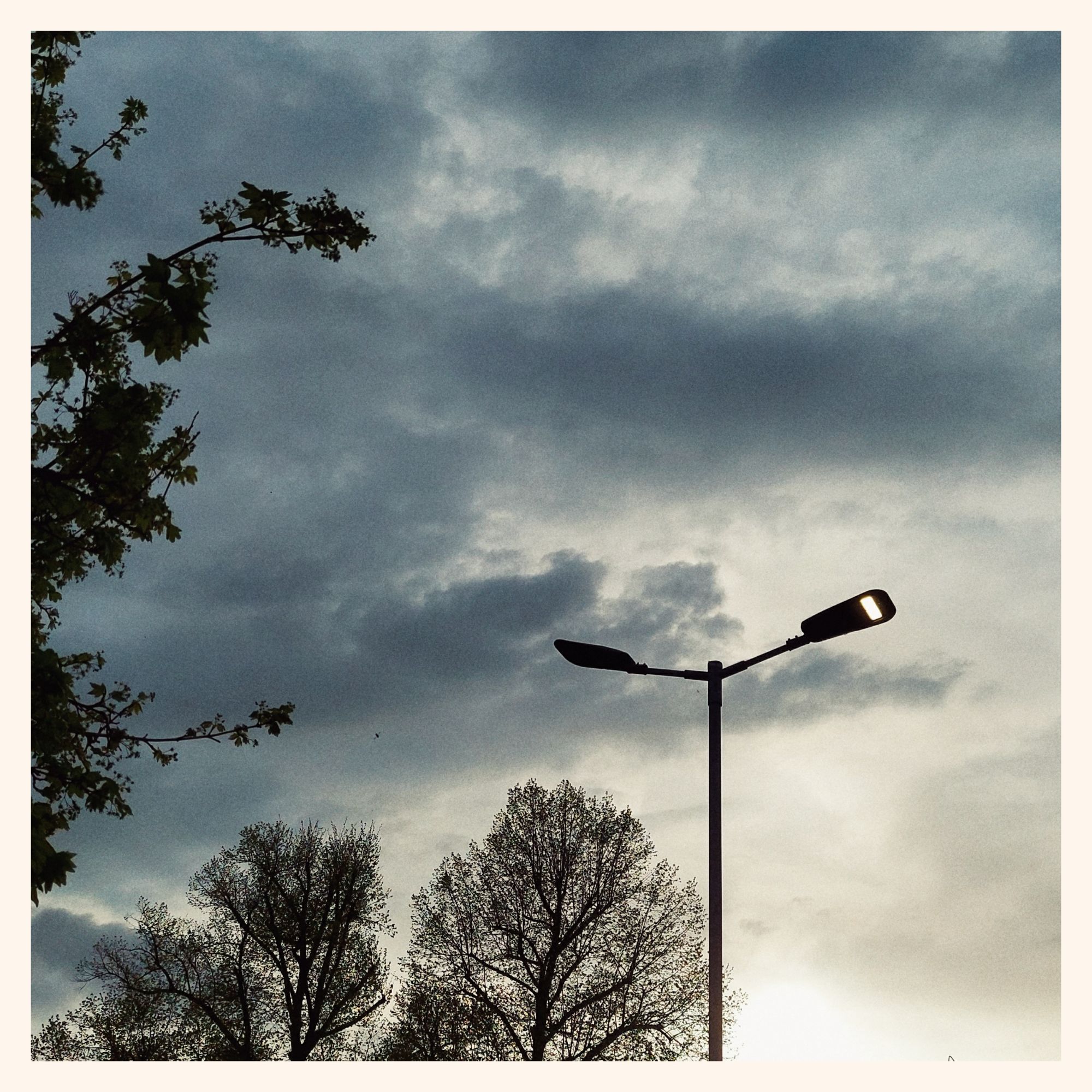 Clouds in front of sunset sky. City trees and a streetlight.