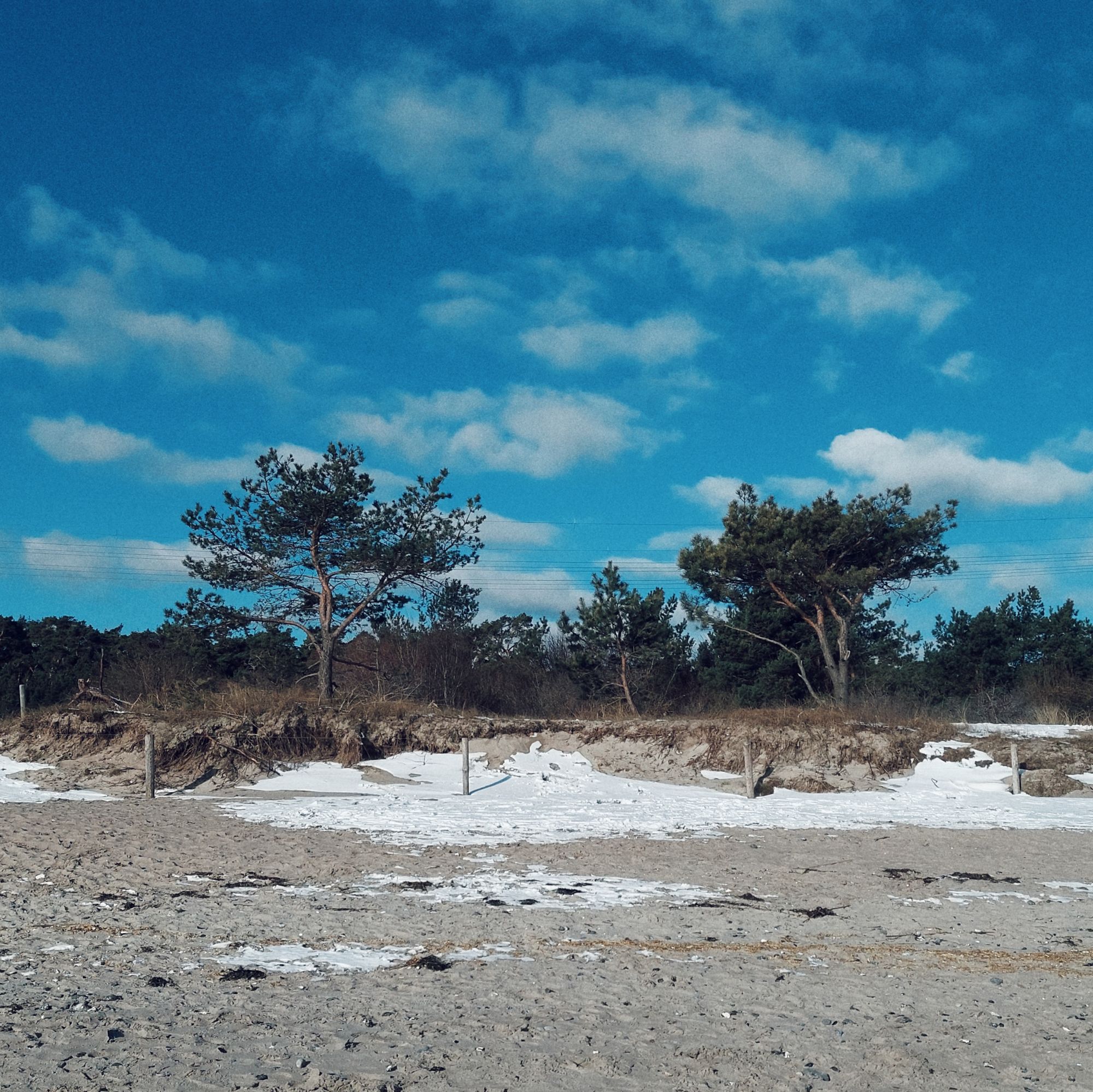 Sandy dunes, trees, snow. Blue sky and clouds above. 