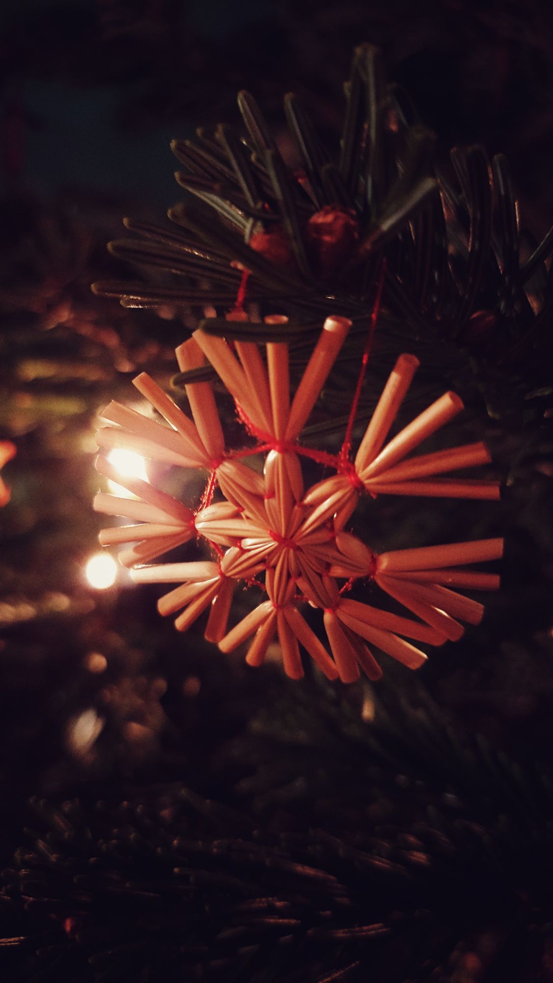 A star in a Christmas tree.