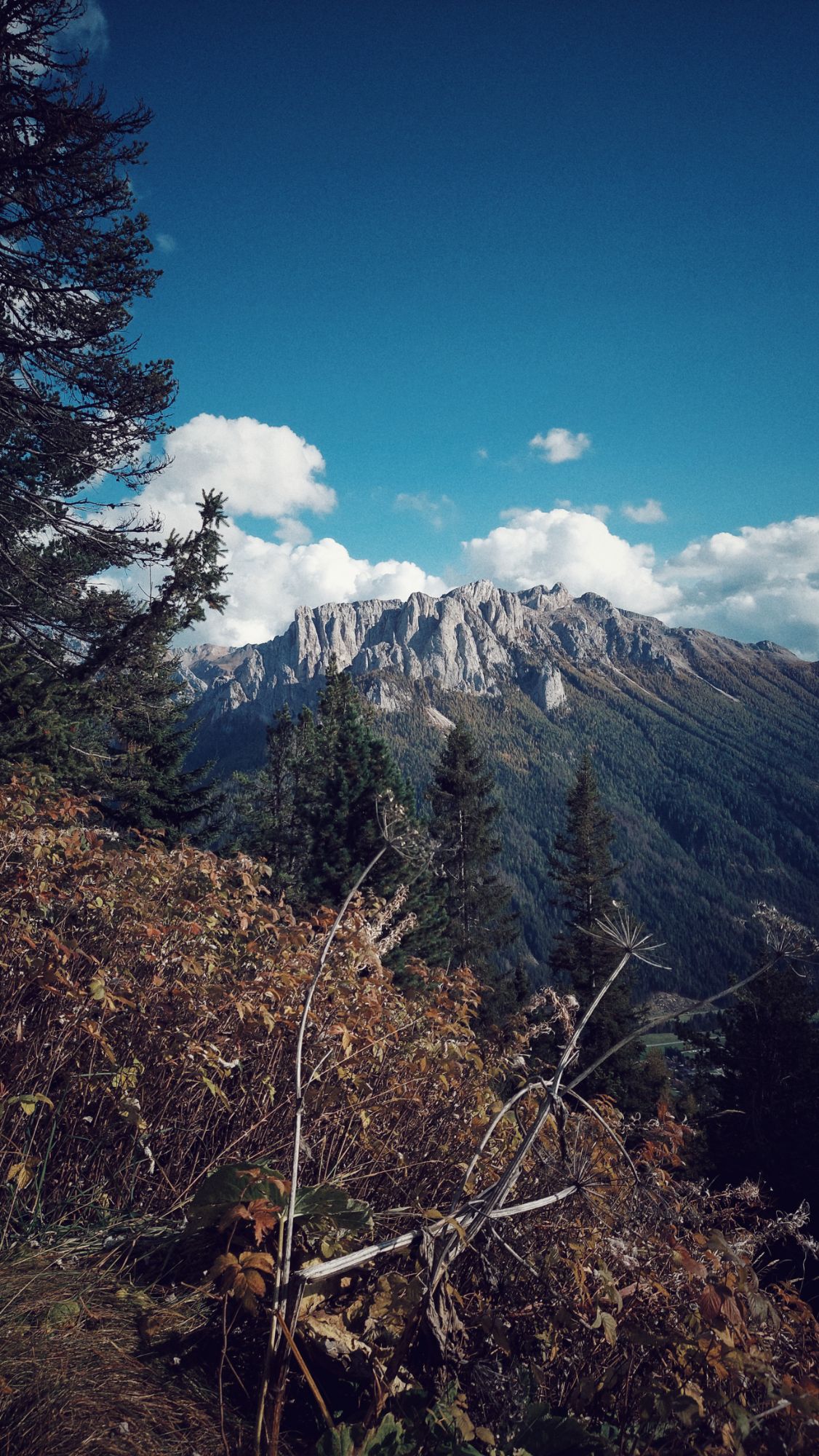 Another mountain panoramic view, dry plants and a small meadow in front. 