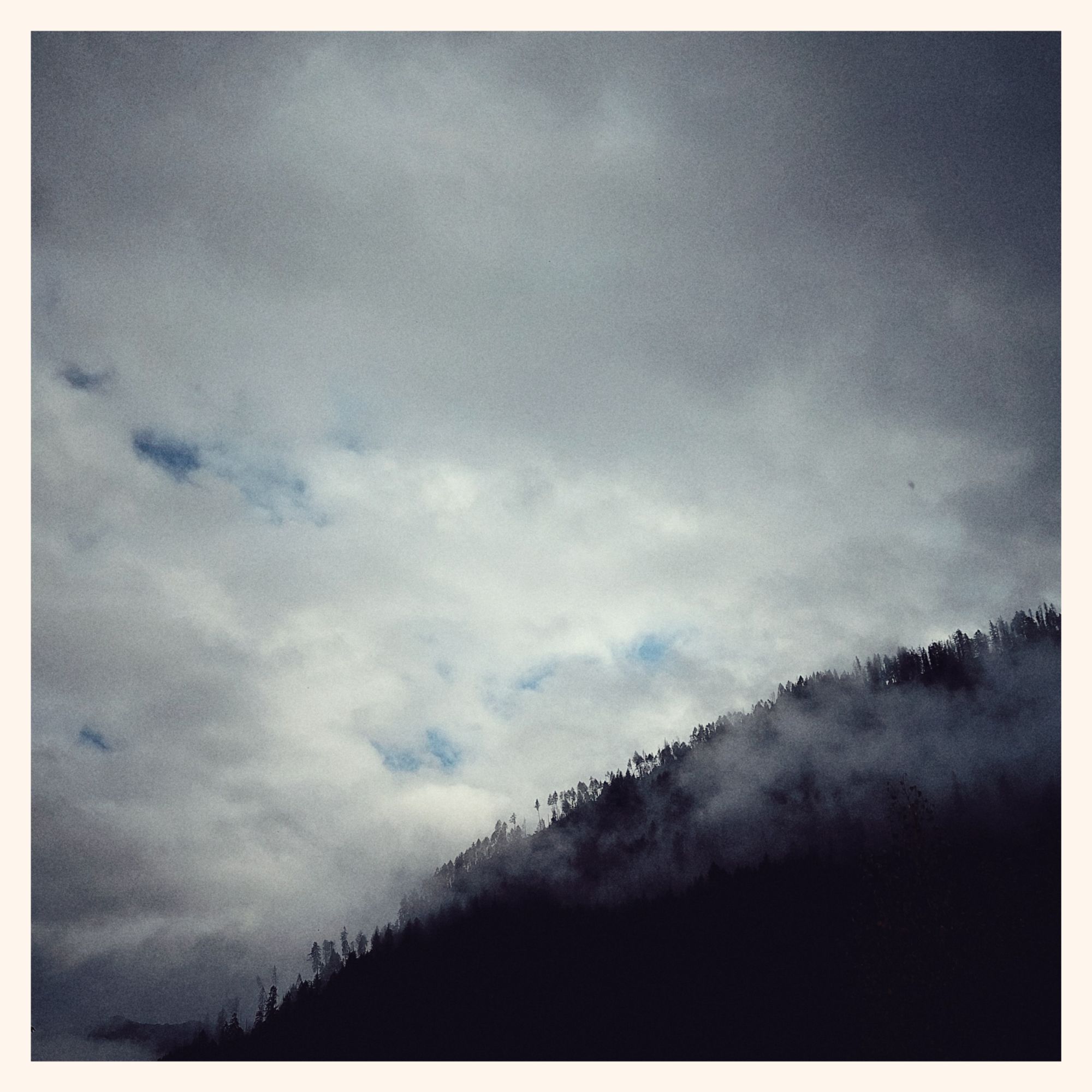 Blue sky breaking through rainclouds above a forest.