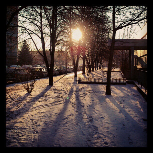 Sunrise and snow in a living area. A flat modern building on the right, parking cars and highrises on the left