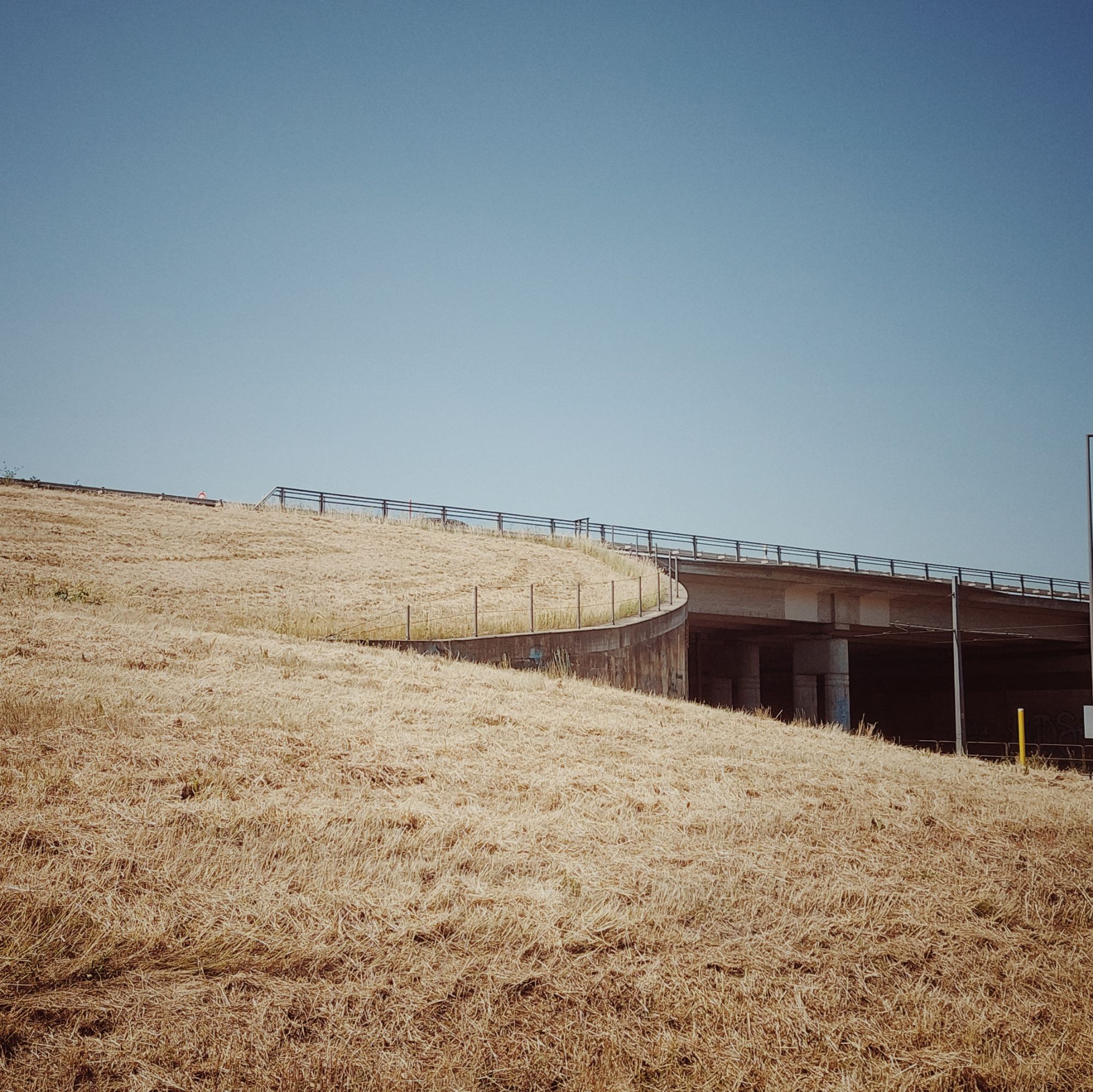 Dry grass, blue sky and concrete road bridge.