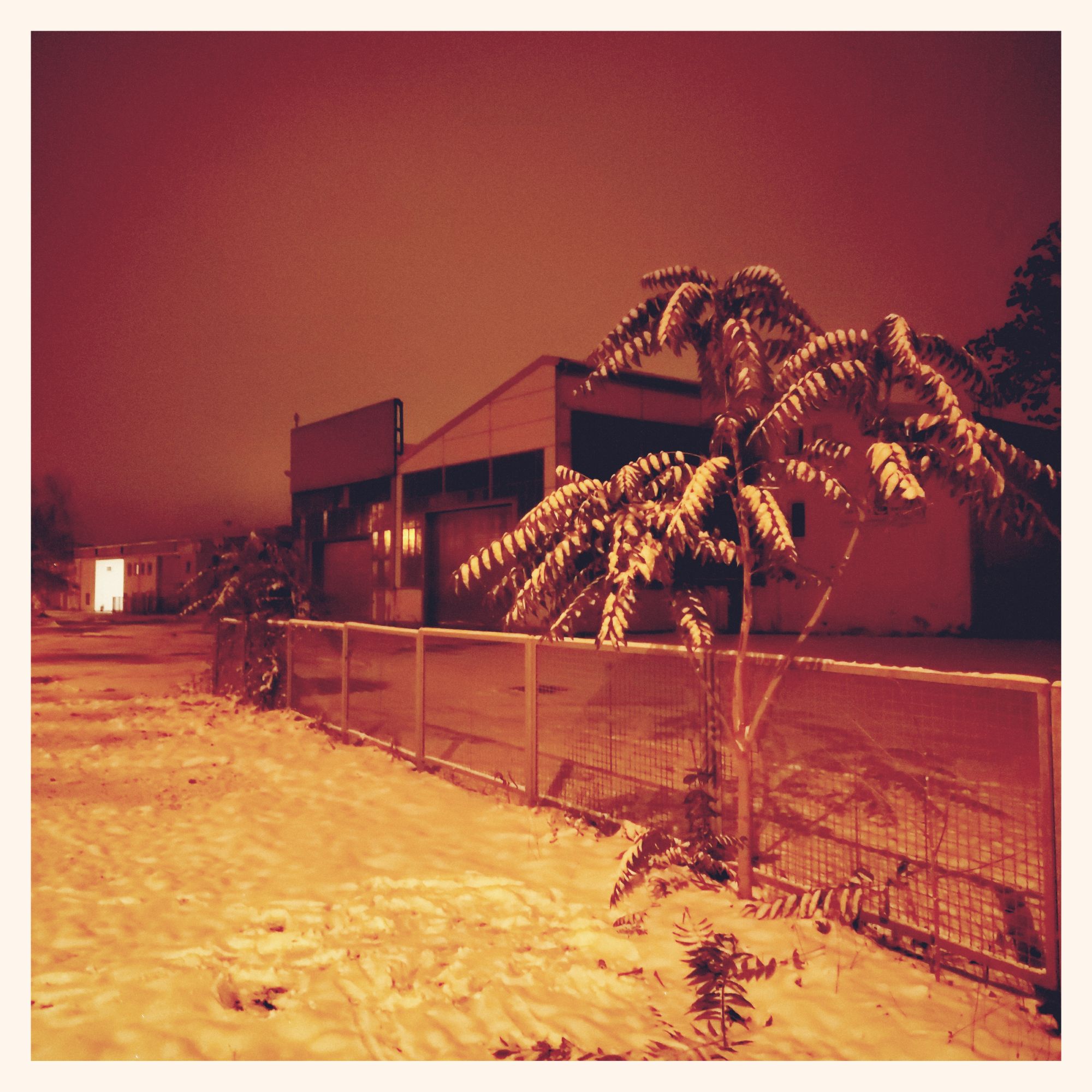 A silent business building behind a metal fence, and a snow-covered tree in front.