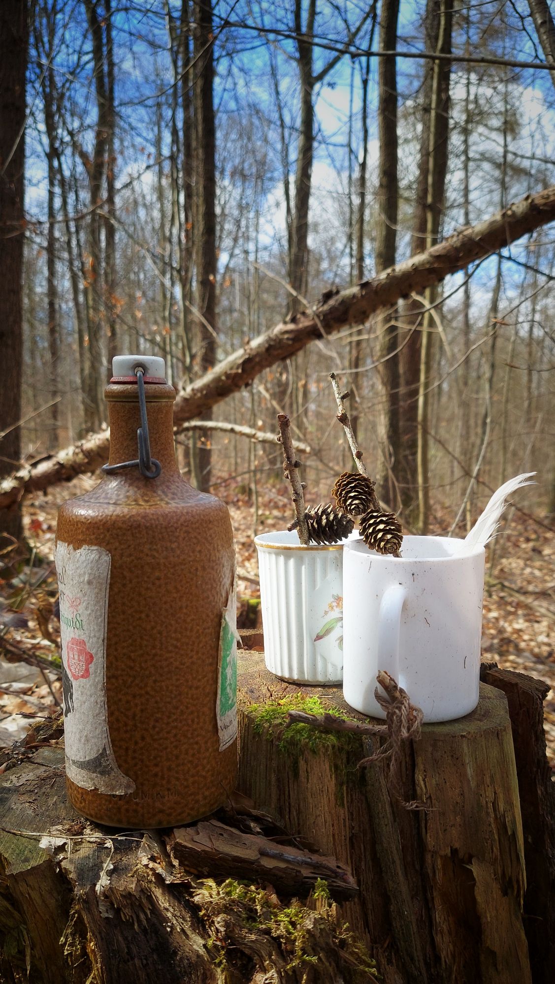 Forest art, a closed bottle and two cups.