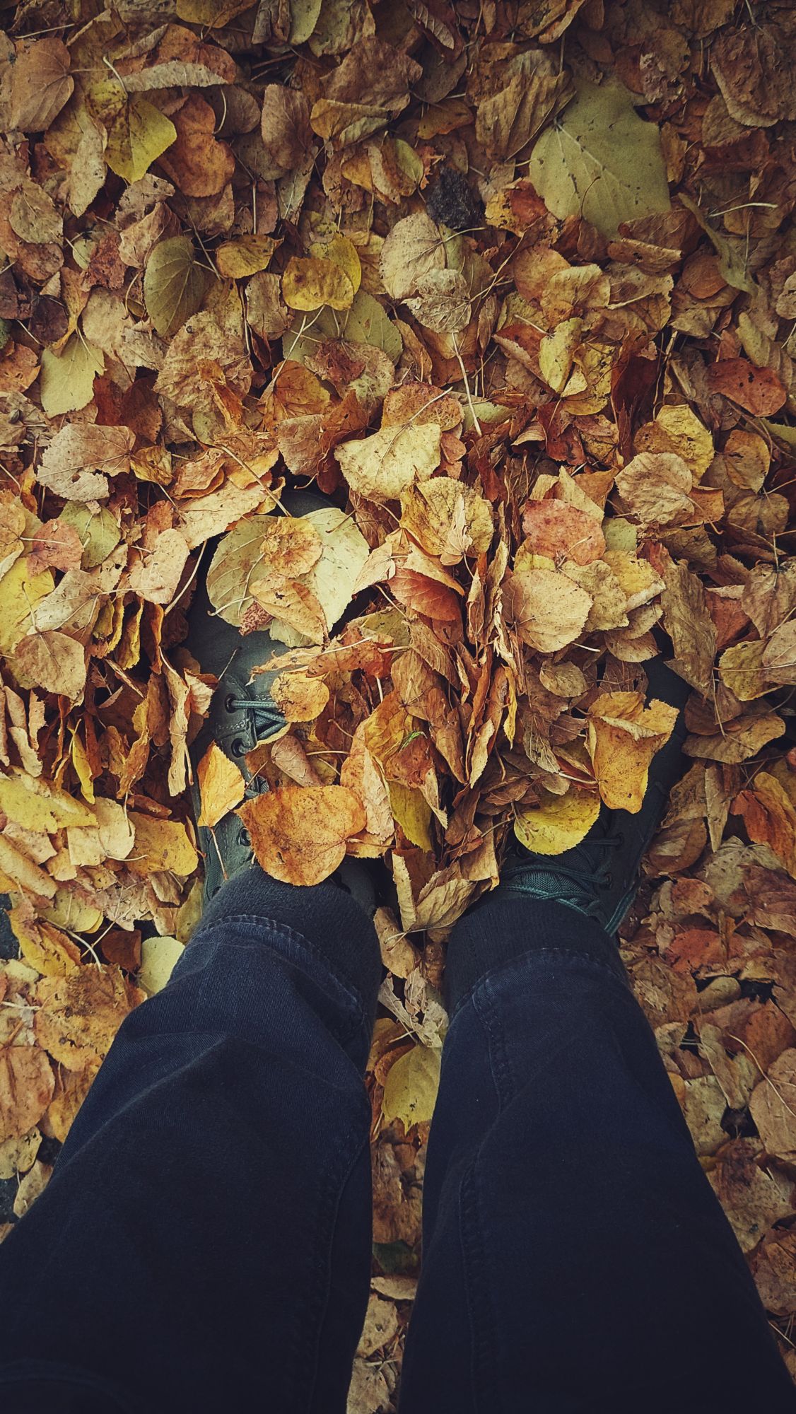 Feet in golden leaves.