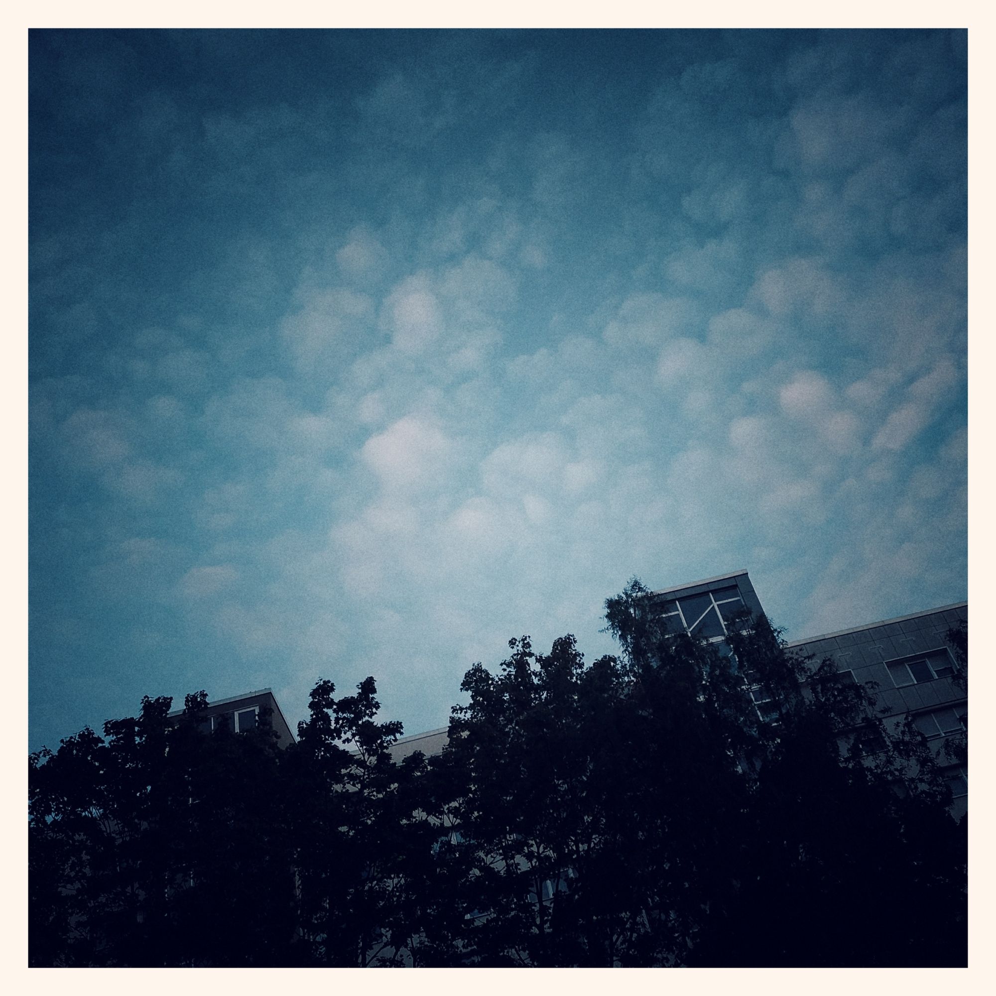 Featherweight clouds above housing blocks and dark trees.