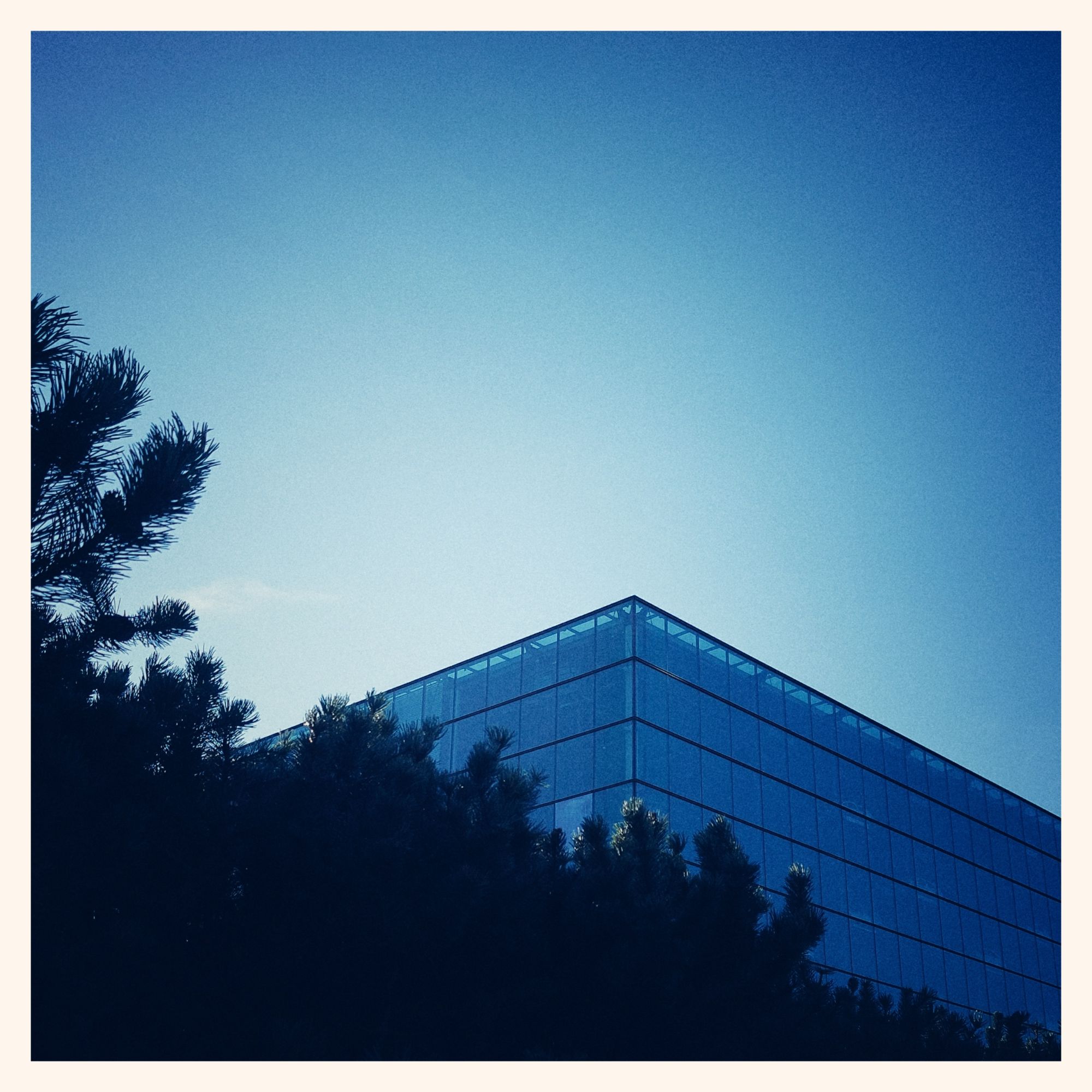 Blue sky above a glass facade. Trees in black.