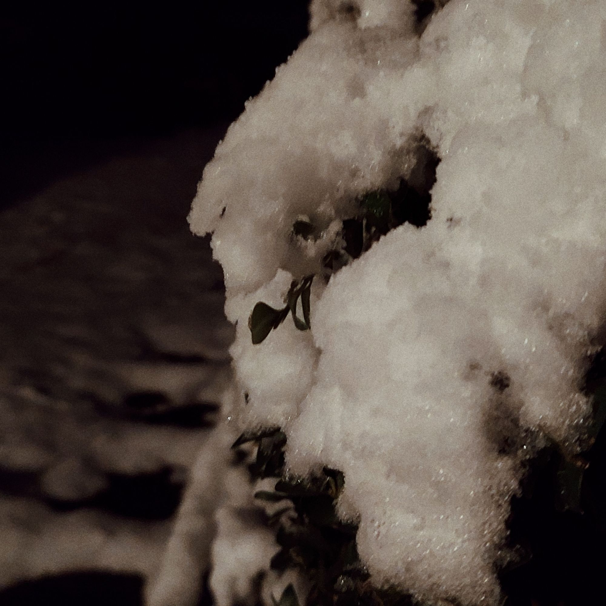 Schnee auf Bäumen und einer dunklen Treppe. 