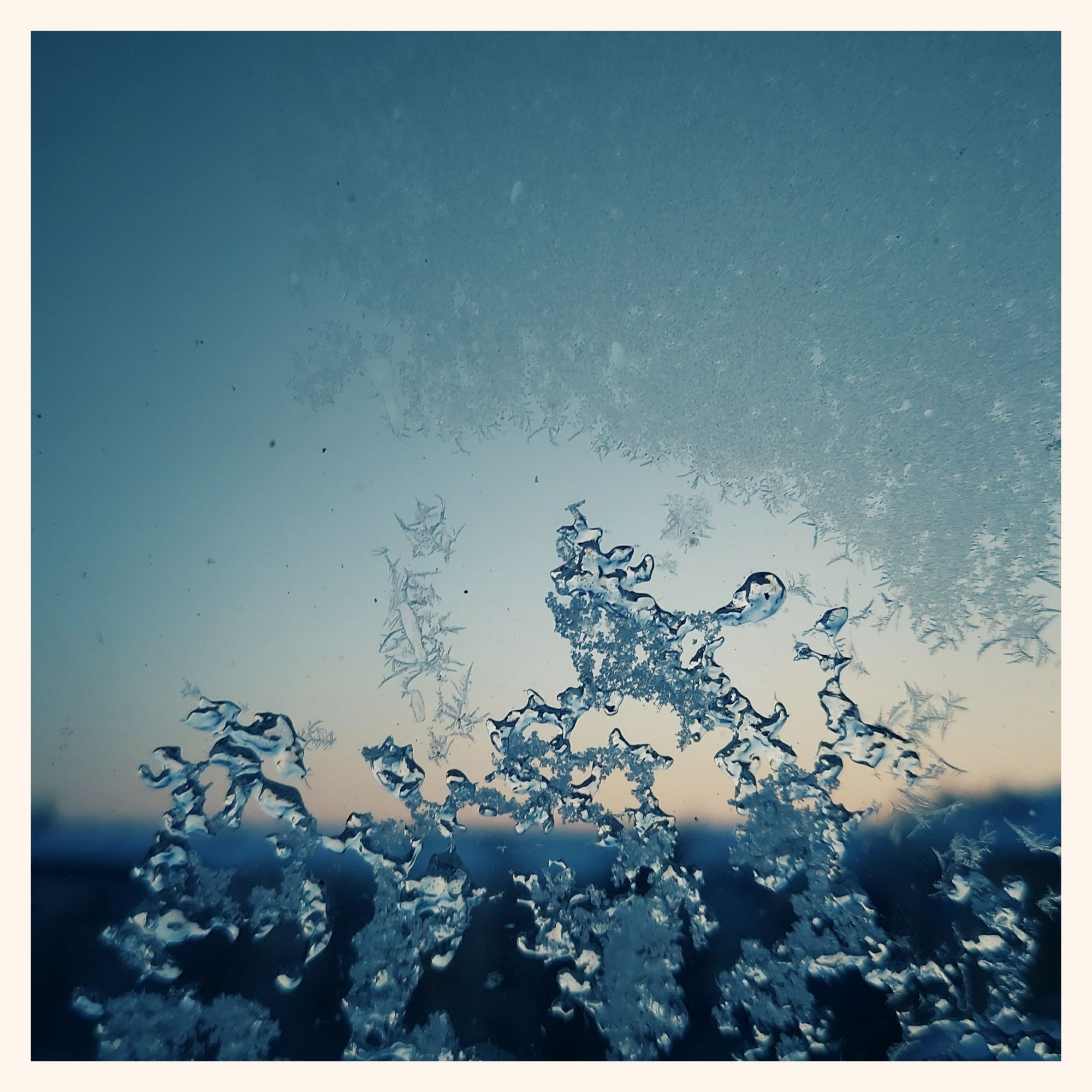 Ice structures on a window, in front of morning dawn.