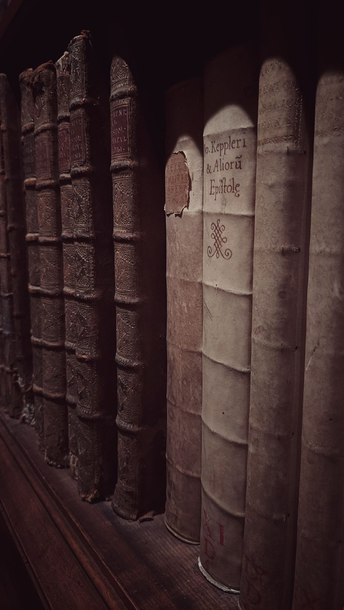 Uralte Buchrücken in einer uralten Bibliothek. 