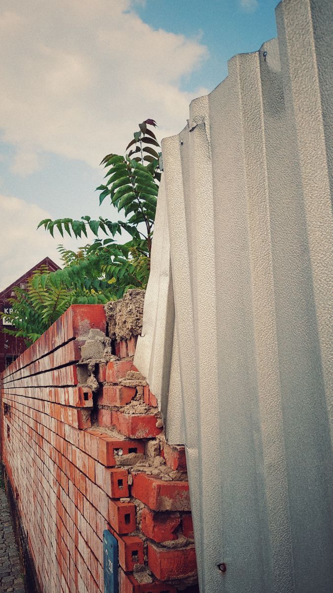 A red brick wall, rough ending, completed by metal blinds. A building in the back, and a small young tree growing into the sky.