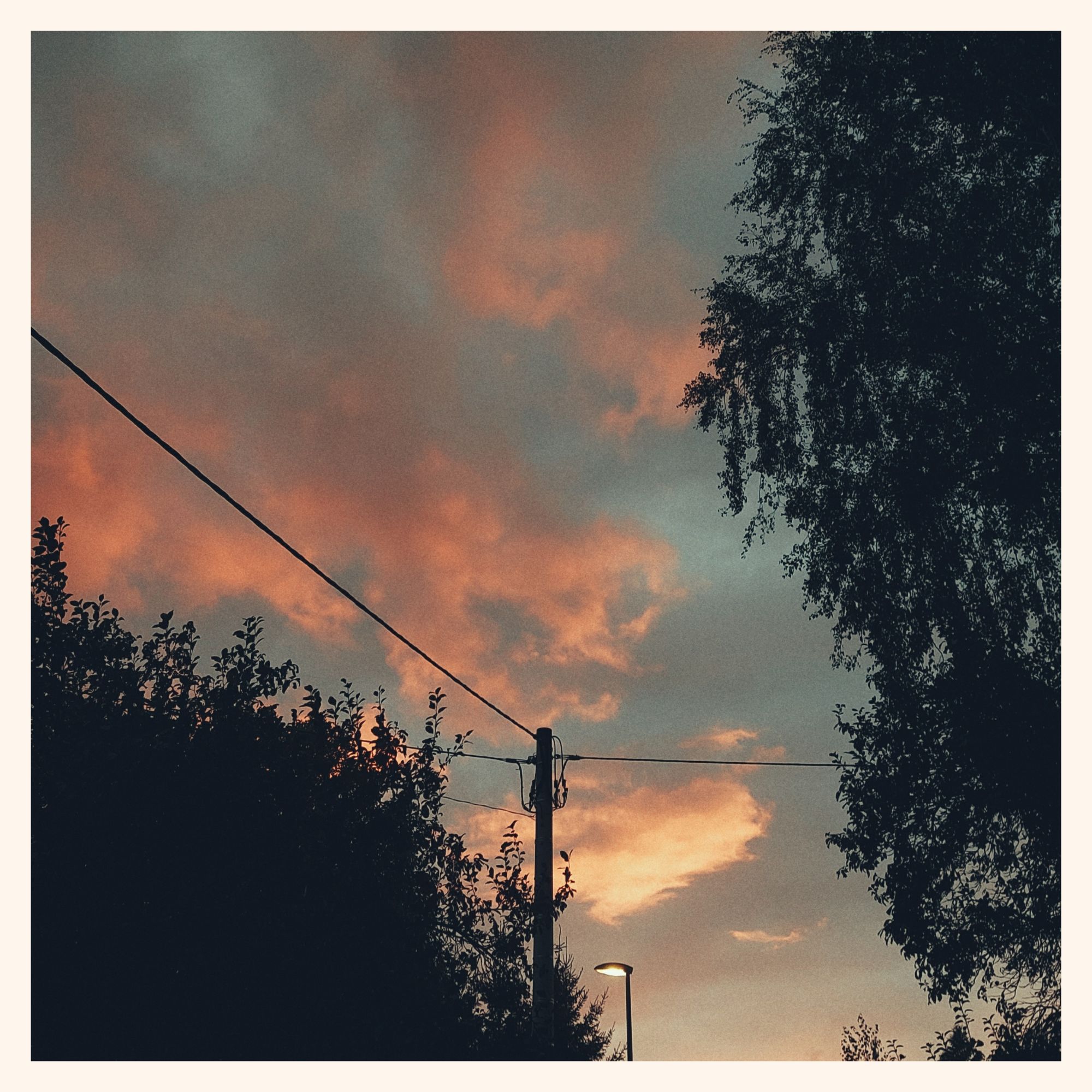 Late sunset colours, evening sky in between trees. Lantern and electric wiring on the lower border.