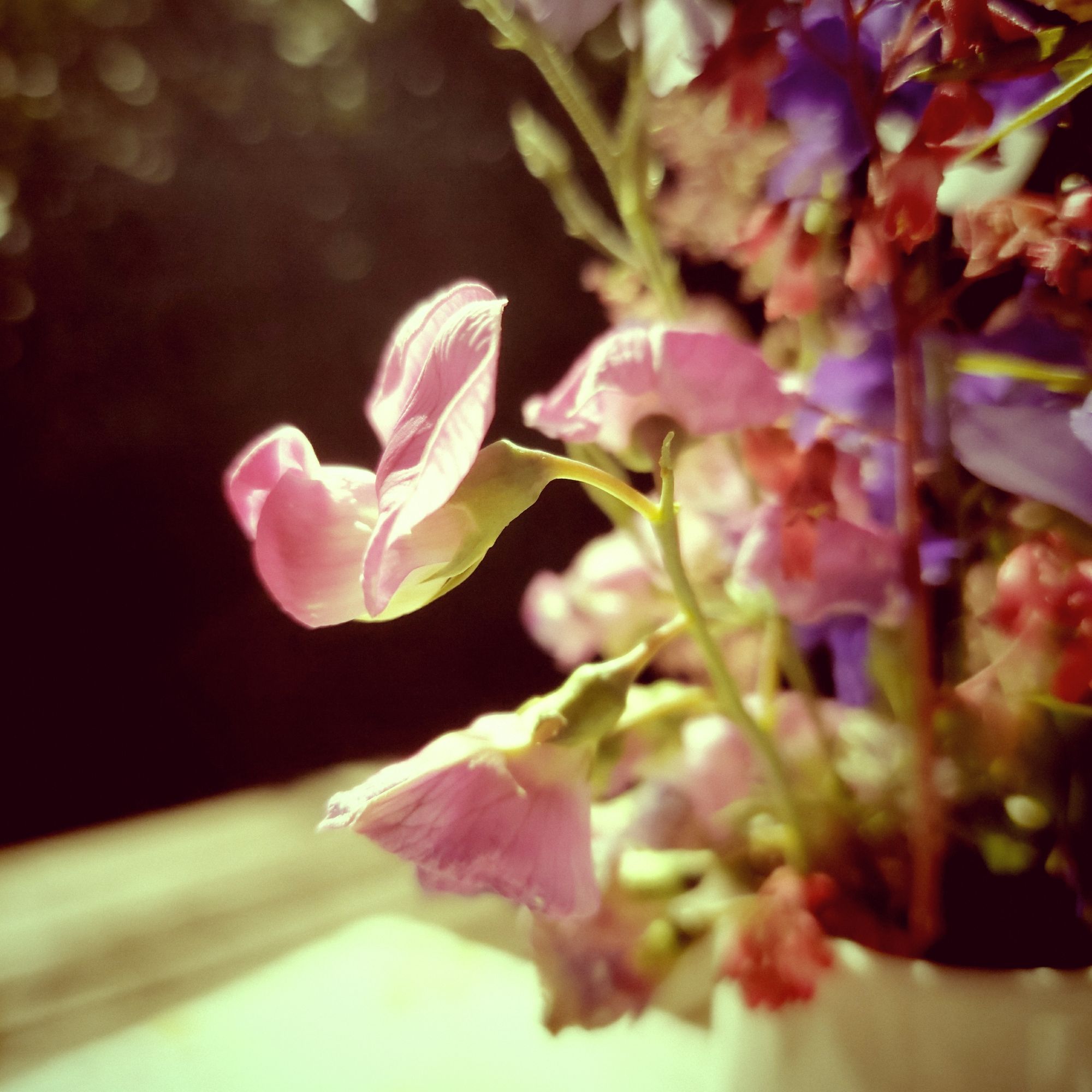 Blumen, Nahaufnahme, in einer Vase. Vintage-Effekt.