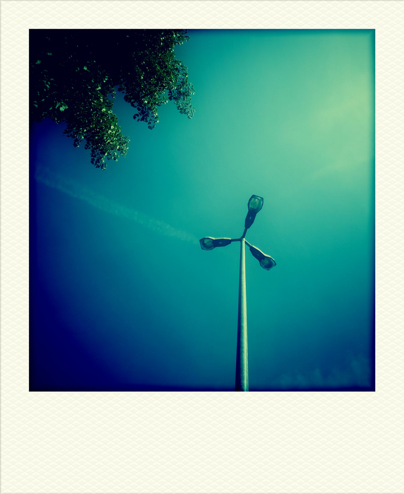 Straßenlaterne und Baumwipfel vor blauem Himmel. 