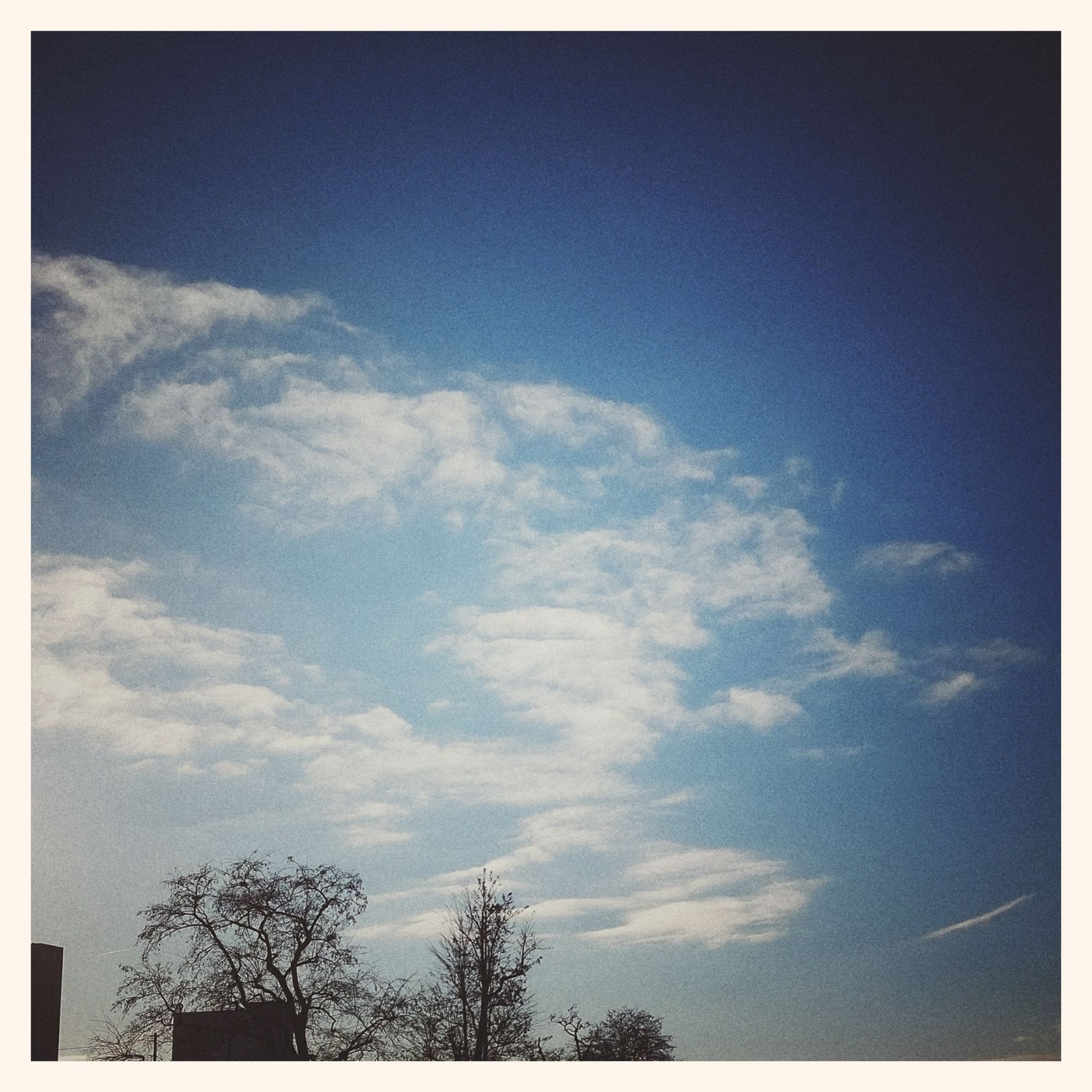 Clouds drifting into a blue calm sky. High-rises and trees below.